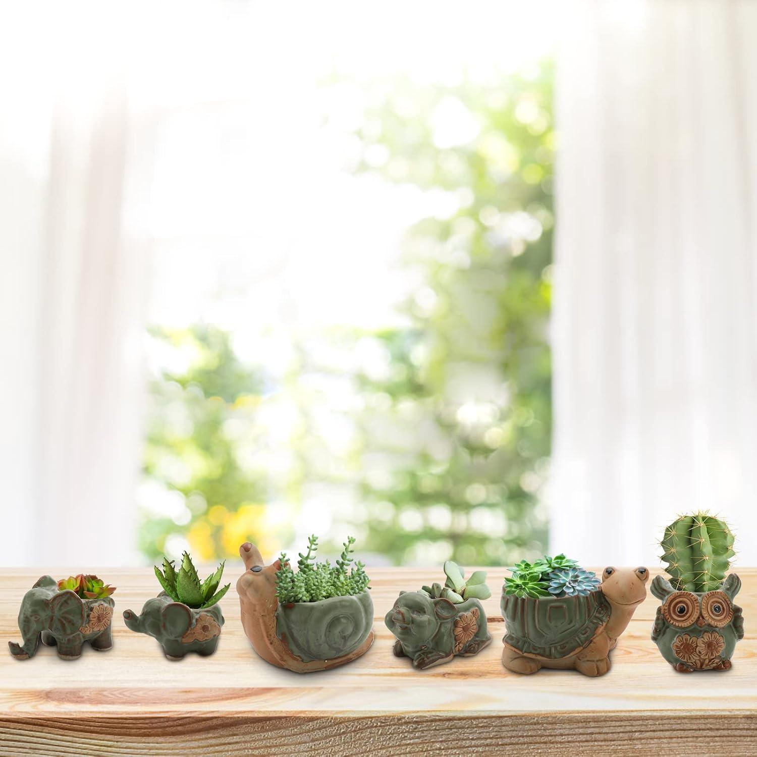 Conjunto de 6 Macetas Suculentas Cerámicas Okllen - Animales