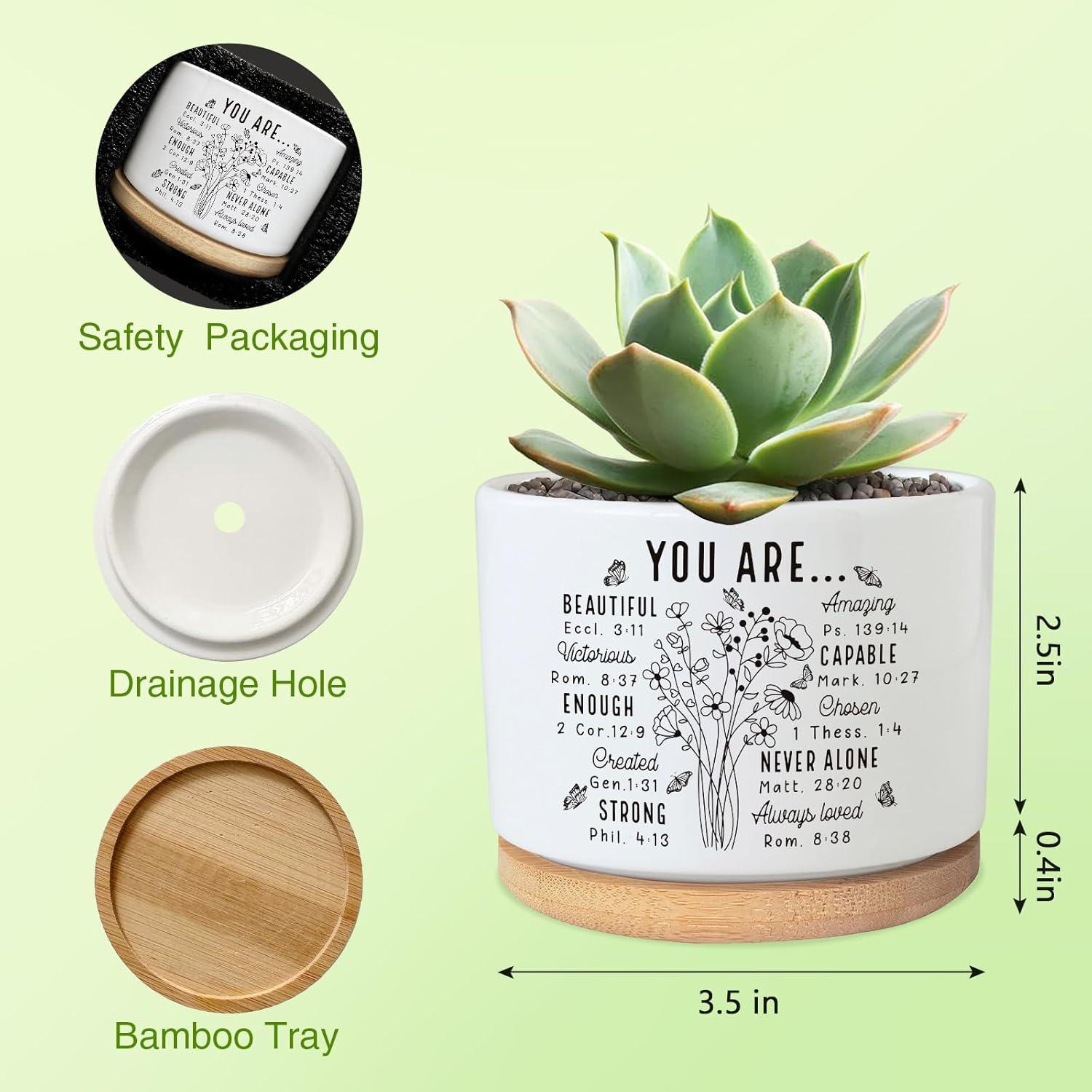 Maceta suculenta PZJIEAN de cerámica 8.9 cm con drenaje