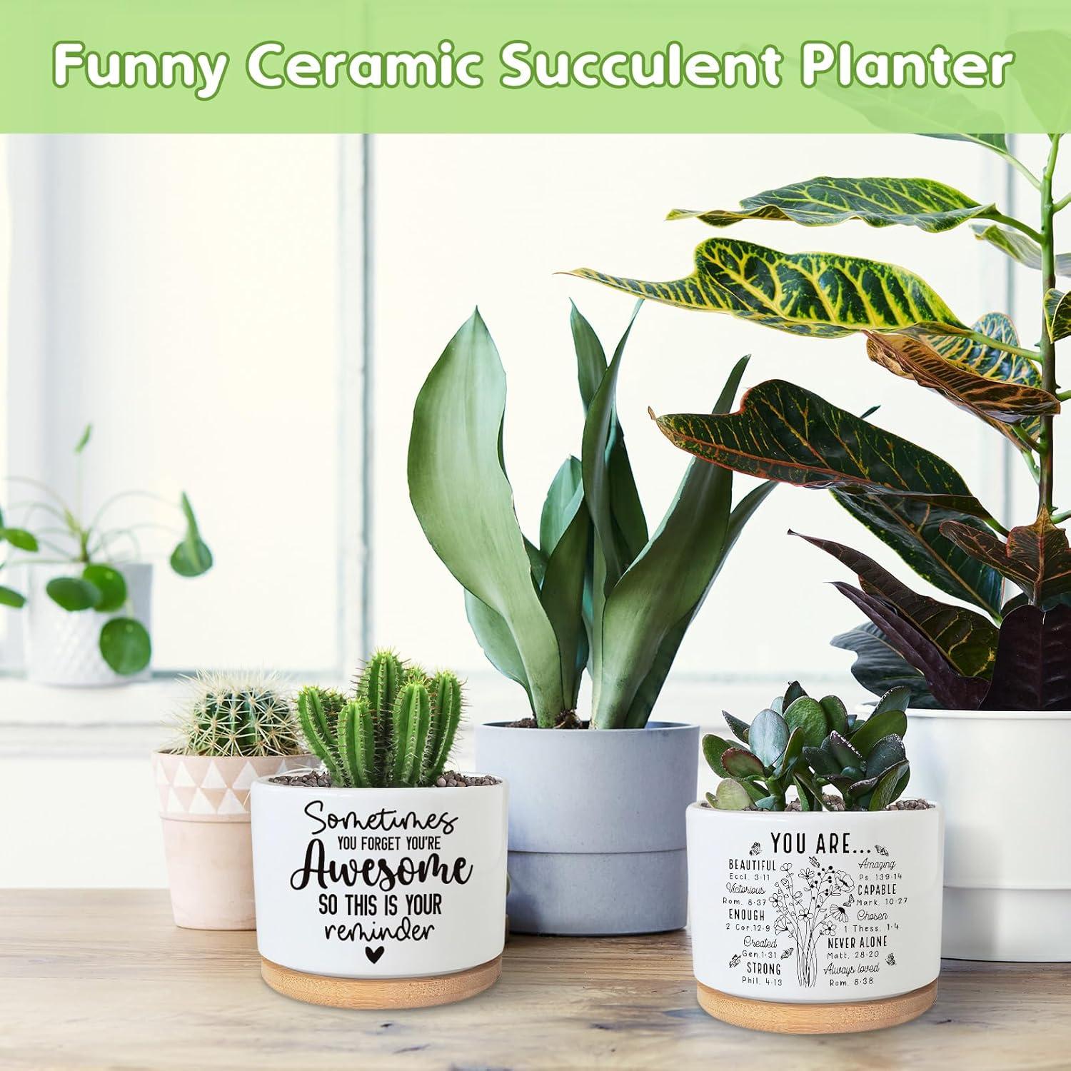 Maceta suculenta PZJIEAN de cerámica 8.9 cm con drenaje