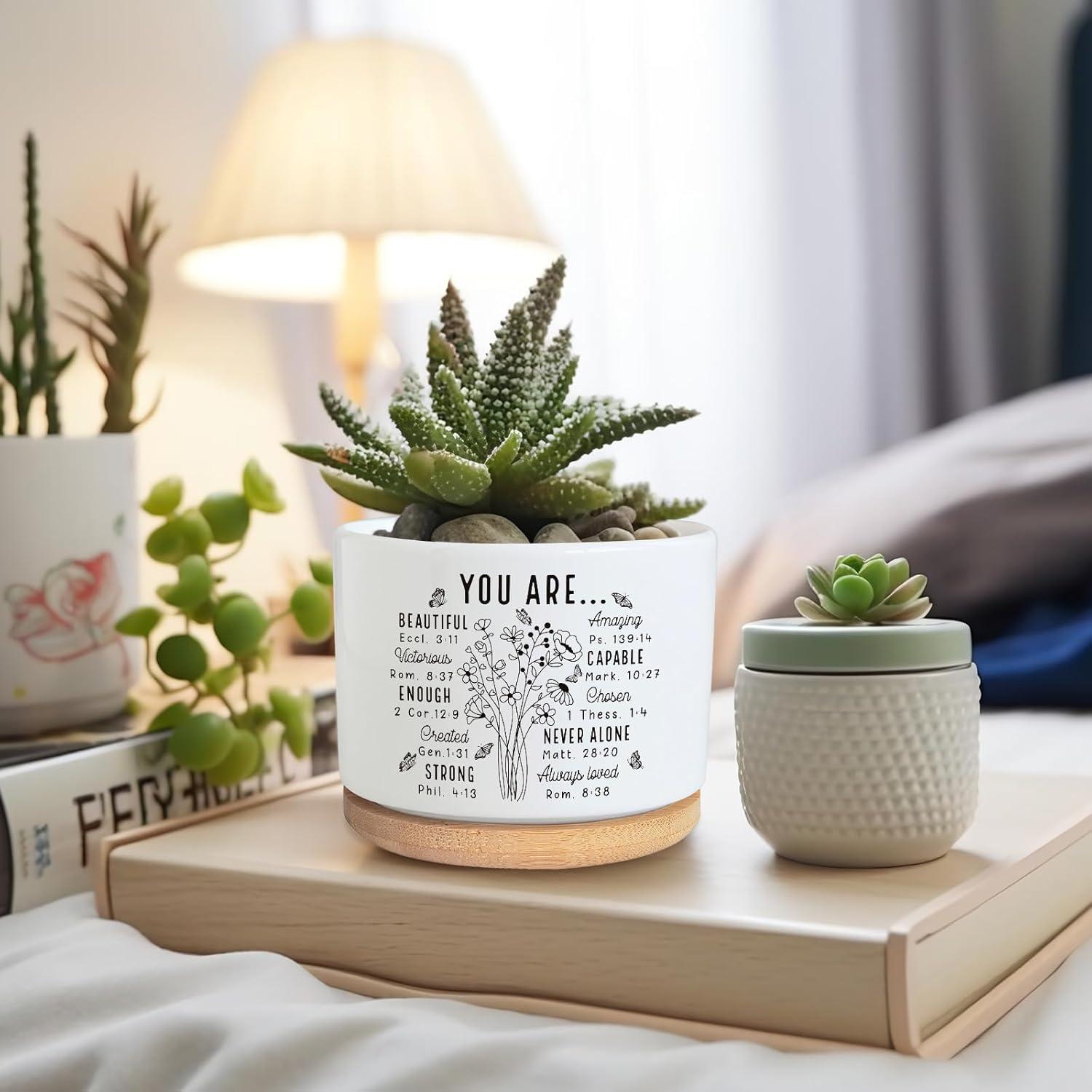 Maceta suculenta PZJIEAN de cerámica 8.9 cm con drenaje