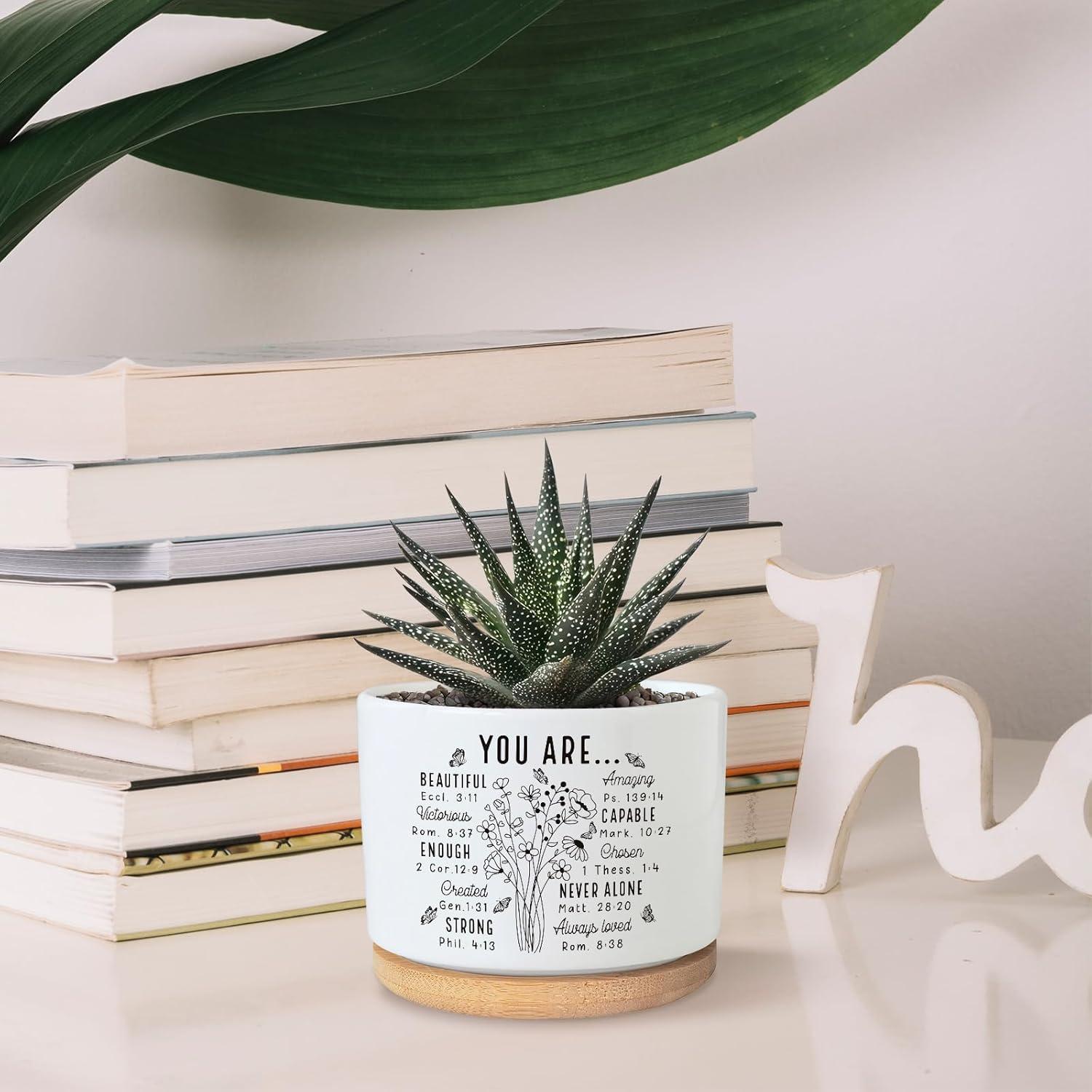 Maceta suculenta PZJIEAN de cerámica 8.9 cm con drenaje