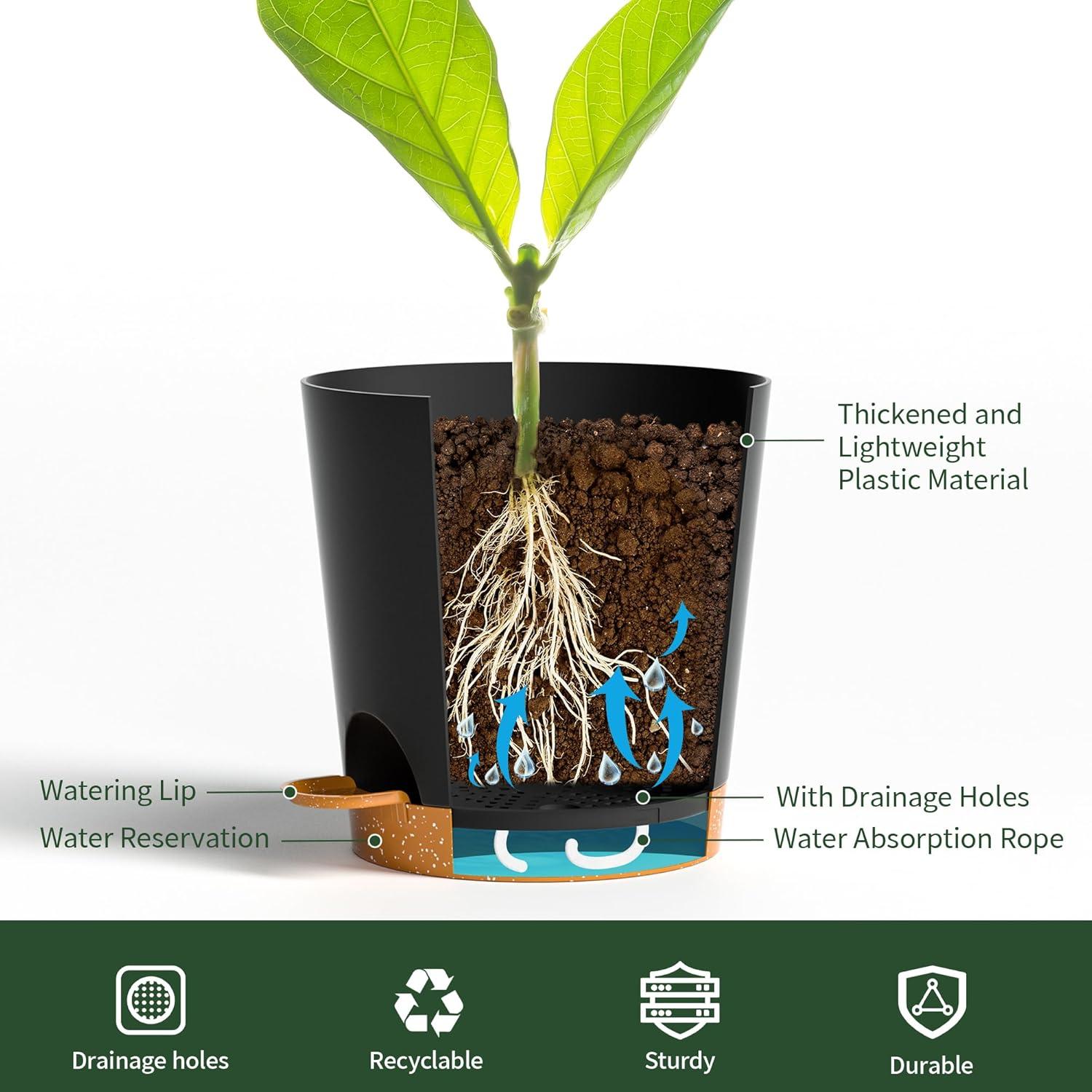 Macetas autorriego 10 cm Lotyeter, paquete de 5, negras