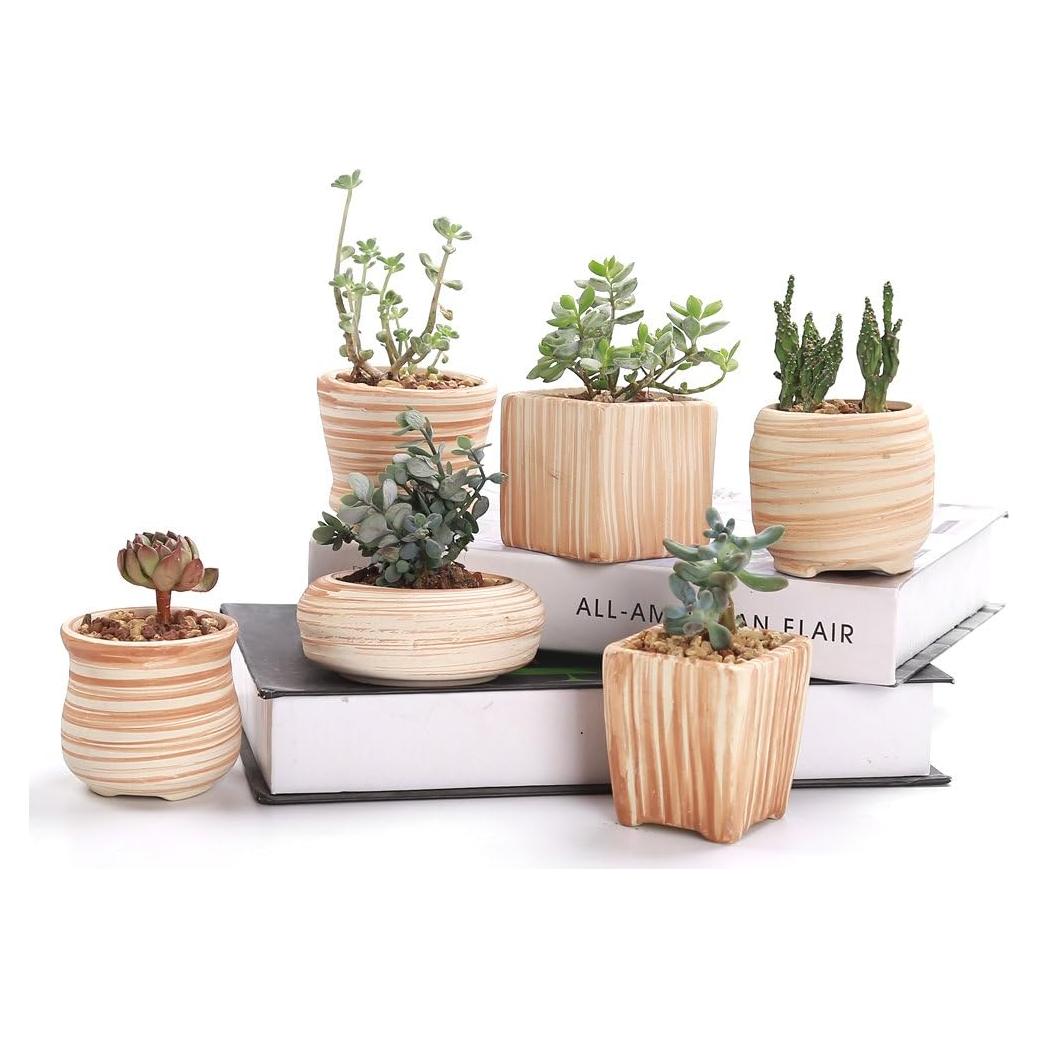 Set de 6 Macetas de Cerámica SUN-E 7.1 cm para Suculentas