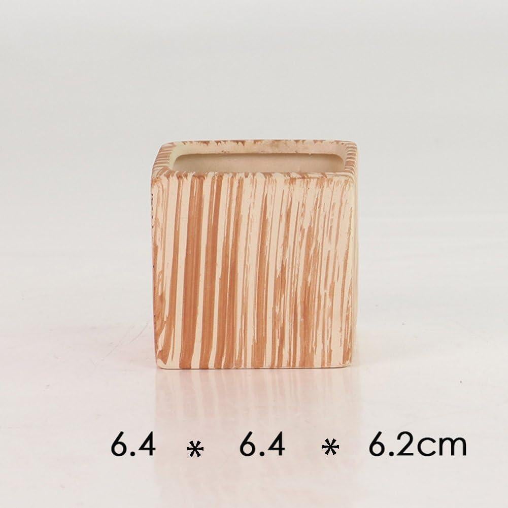 Set de 6 Macetas de Cerámica SUN-E 7.1 cm para Suculentas