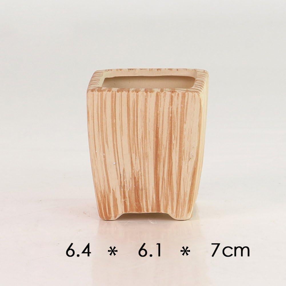 Set de 6 Macetas de Cerámica SUN-E 7.1 cm para Suculentas