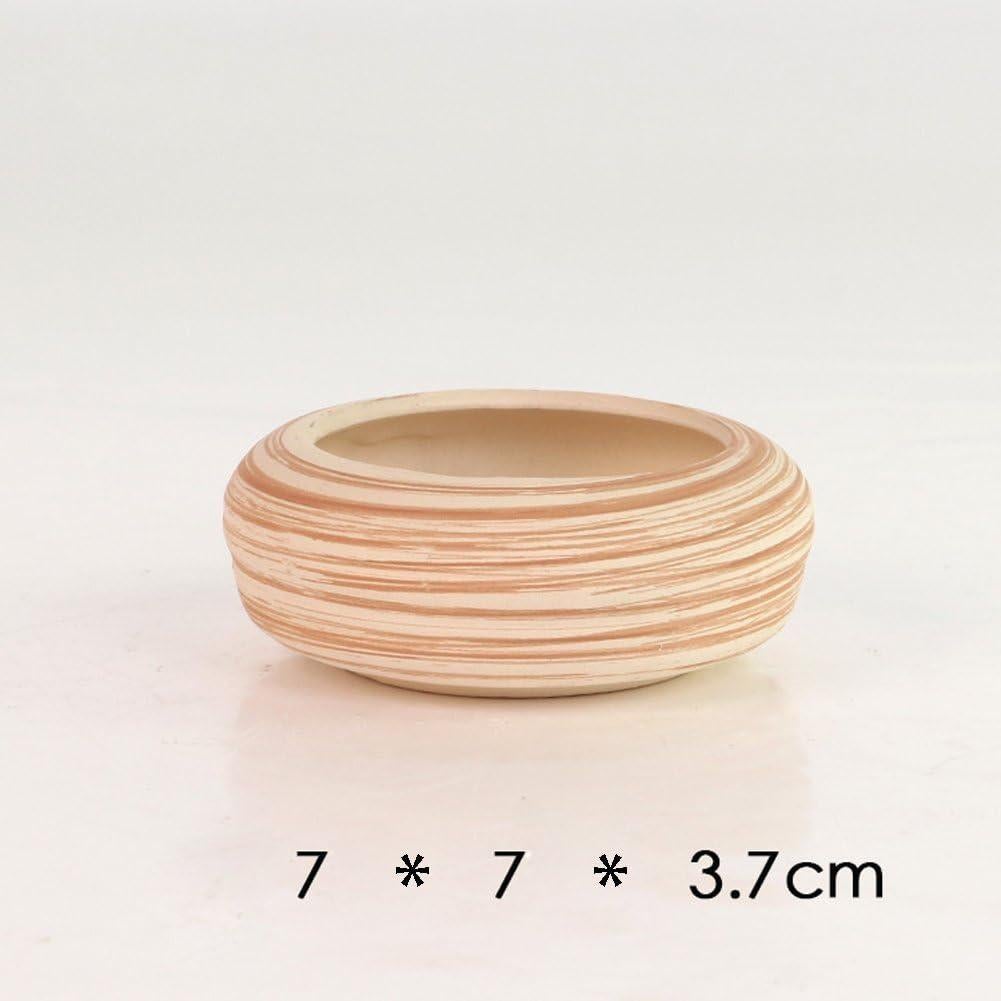 Set de 6 Macetas de Cerámica SUN-E 7.1 cm para Suculentas