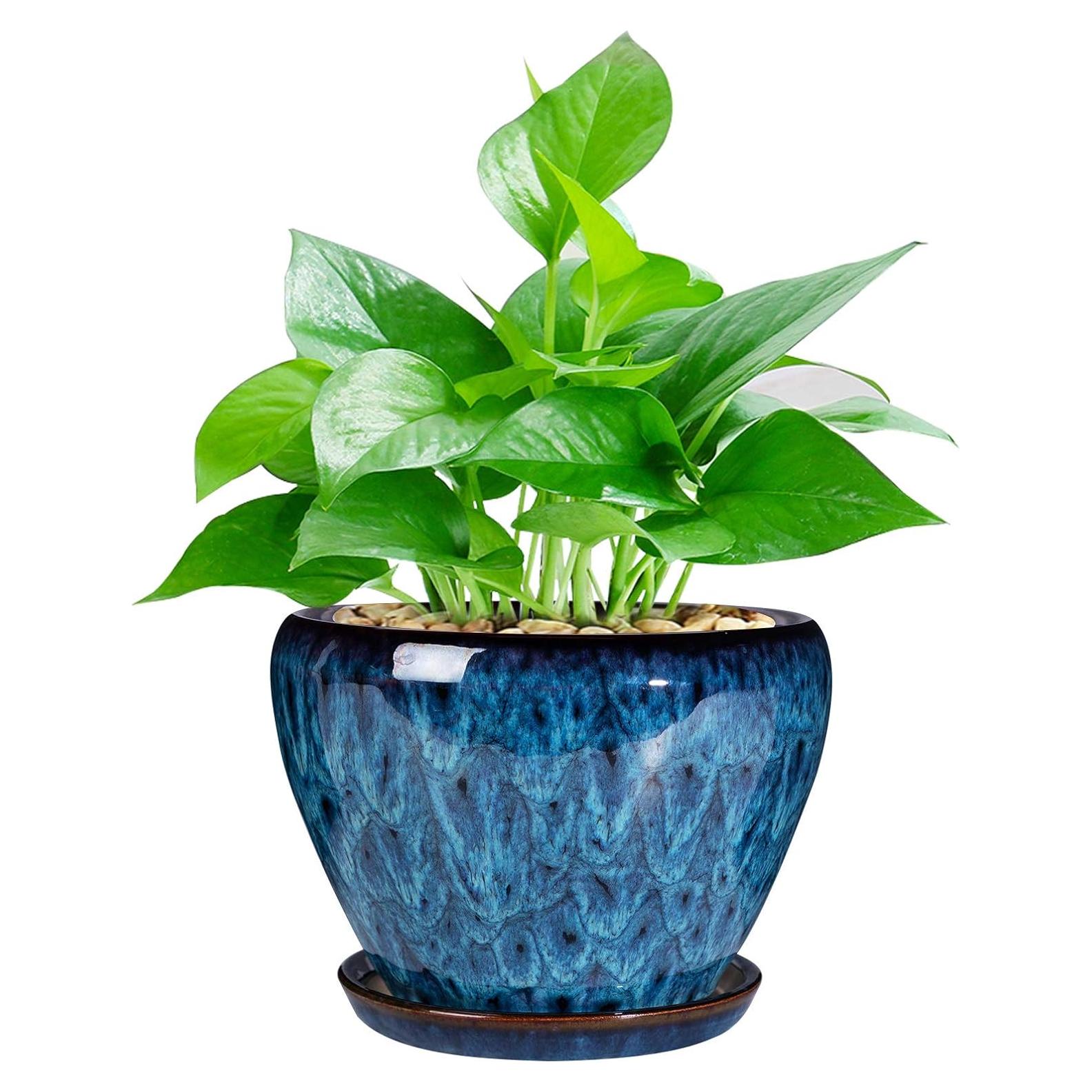 Maceta de Cerámica Azul 15 cm con Drenaje y Plato Ceramicfor