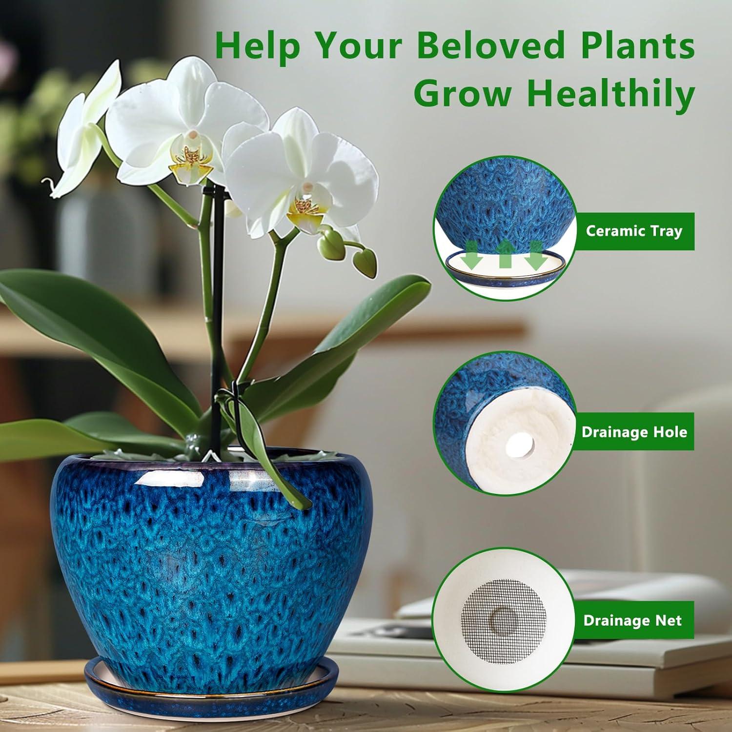 Maceta de Cerámica Azul 15 cm con Drenaje y Plato Ceramicfor