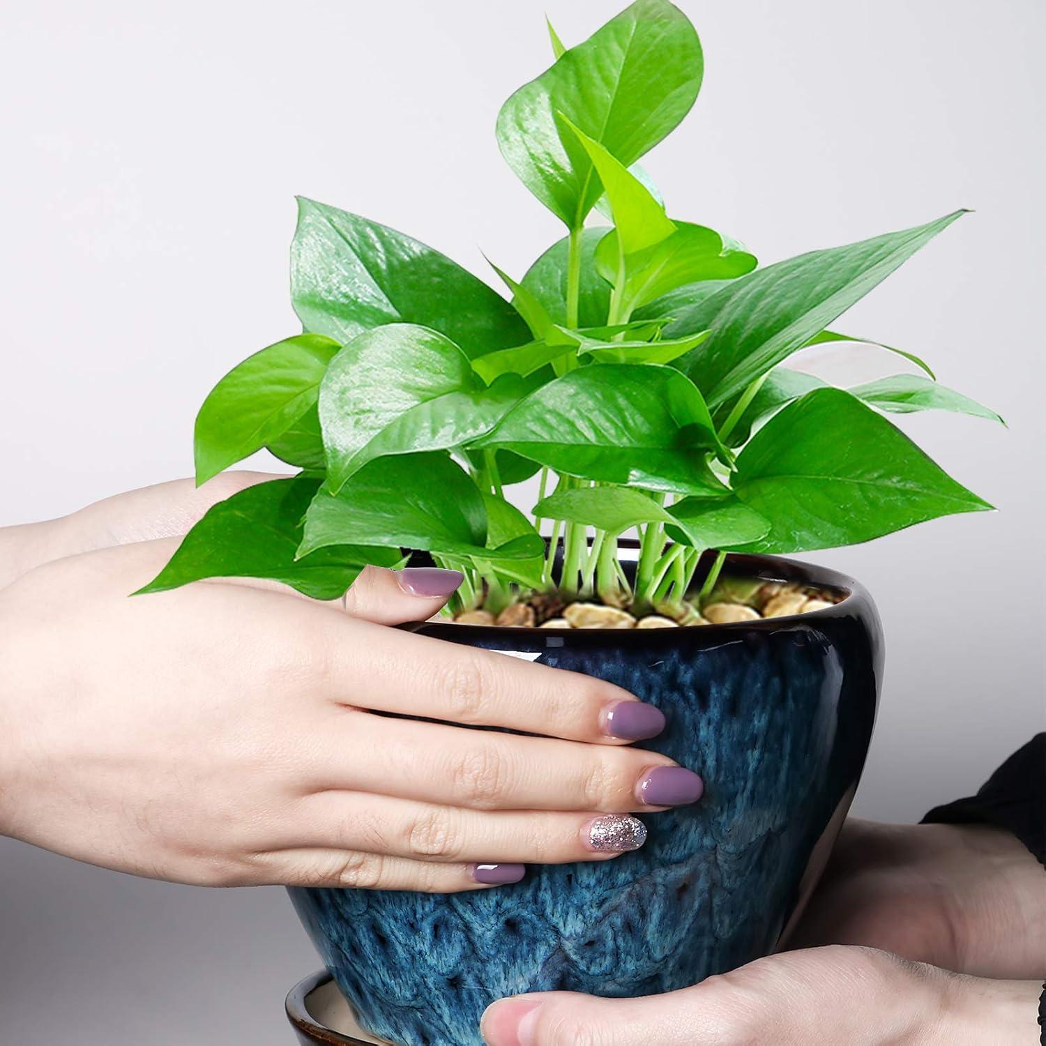 Maceta de Cerámica Azul 15 cm con Drenaje y Plato Ceramicfor