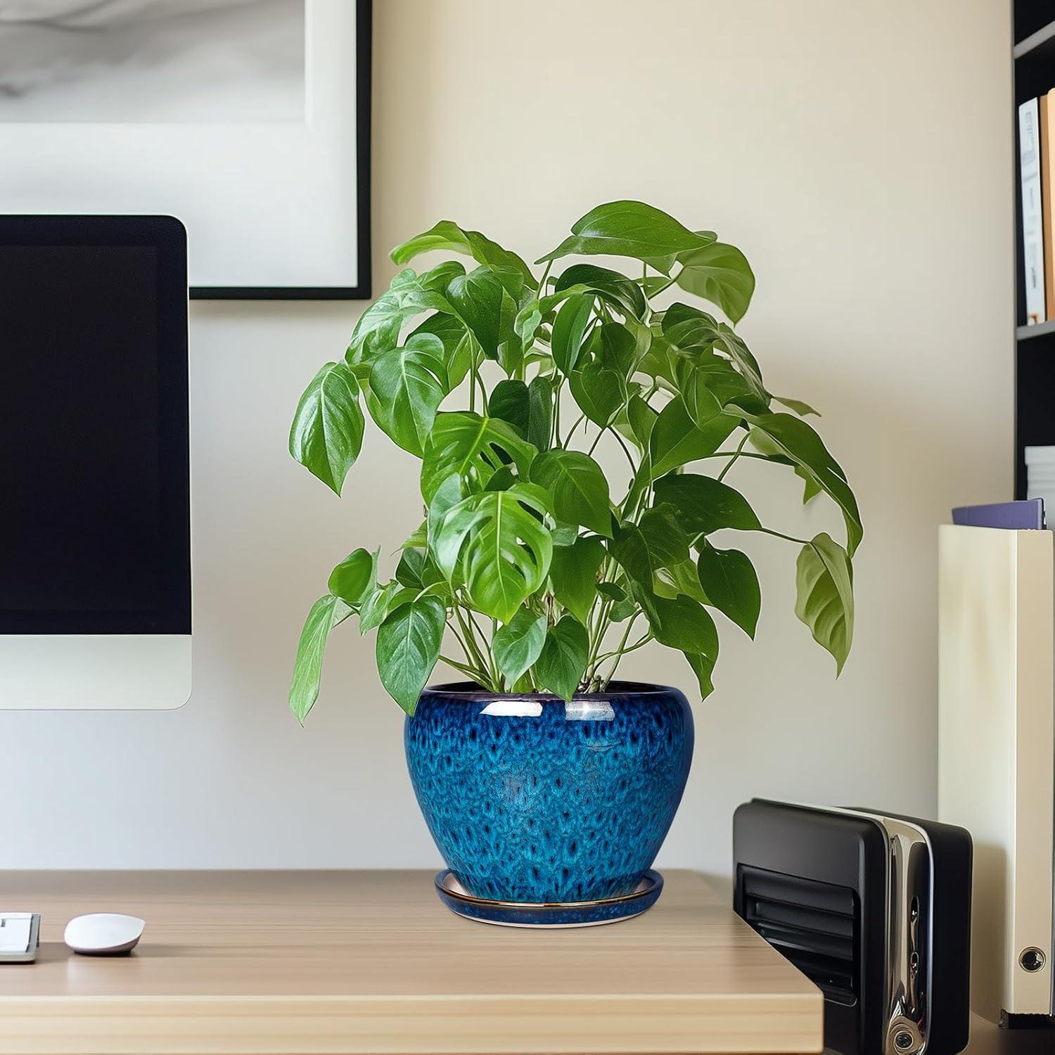 Maceta de Cerámica Azul 15 cm con Drenaje y Plato Ceramicfor