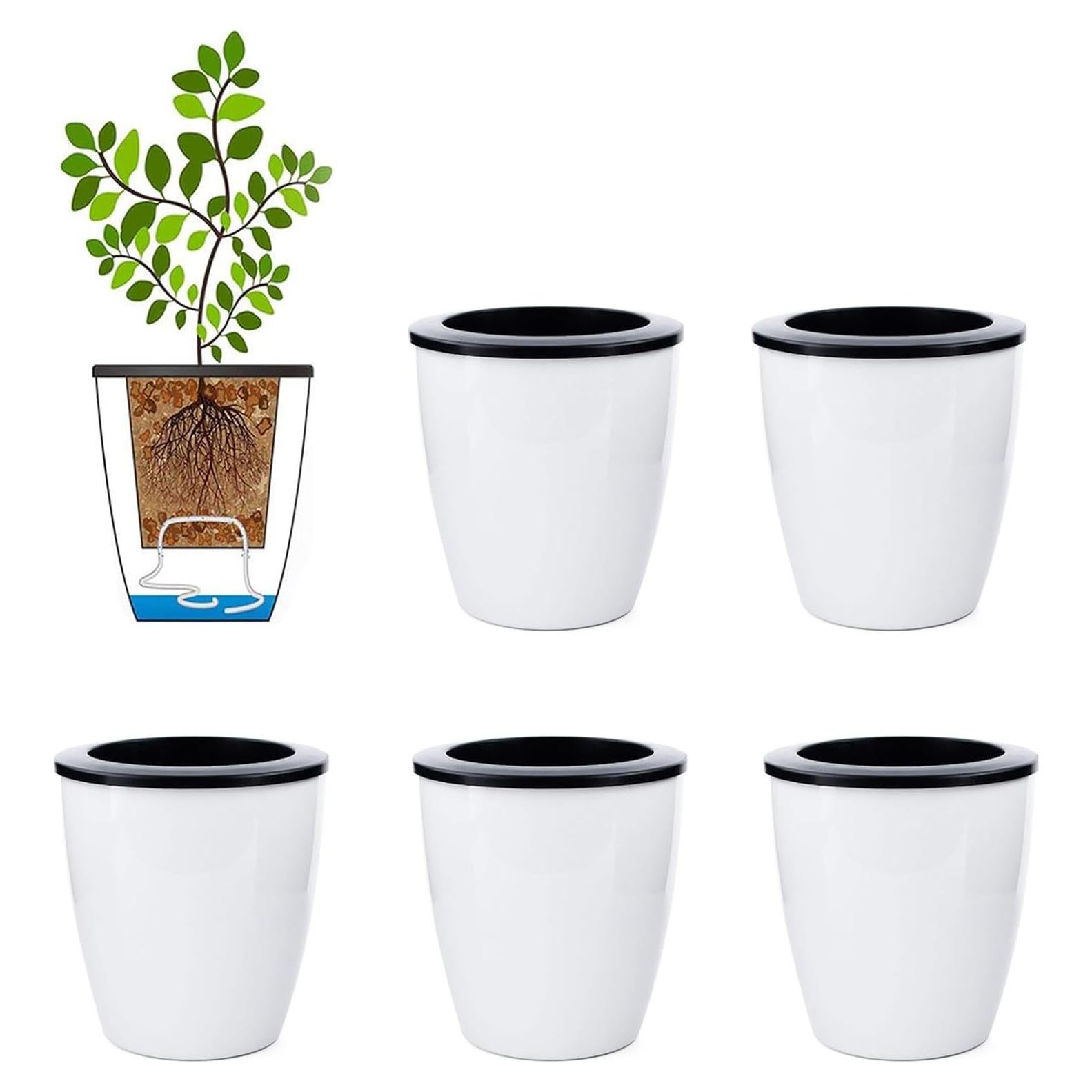 6 Macetas Autorriego OYSIR Blancas 8.89 cm para Plantas