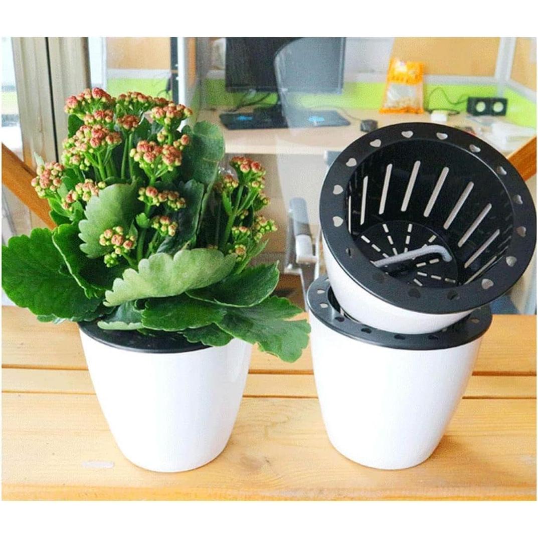 6 Macetas Autorriego OYSIR Blancas 8.89 cm para Plantas