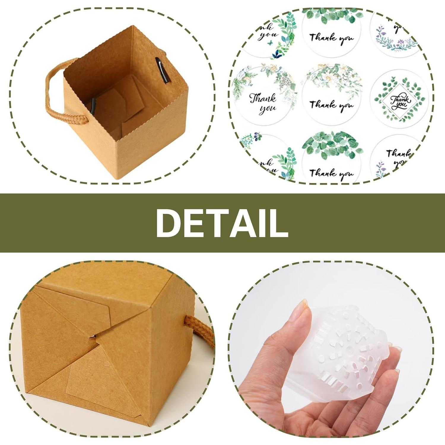 Set de 20 Macetas Mini Suculentas SnowTing con Bolsas Kraft