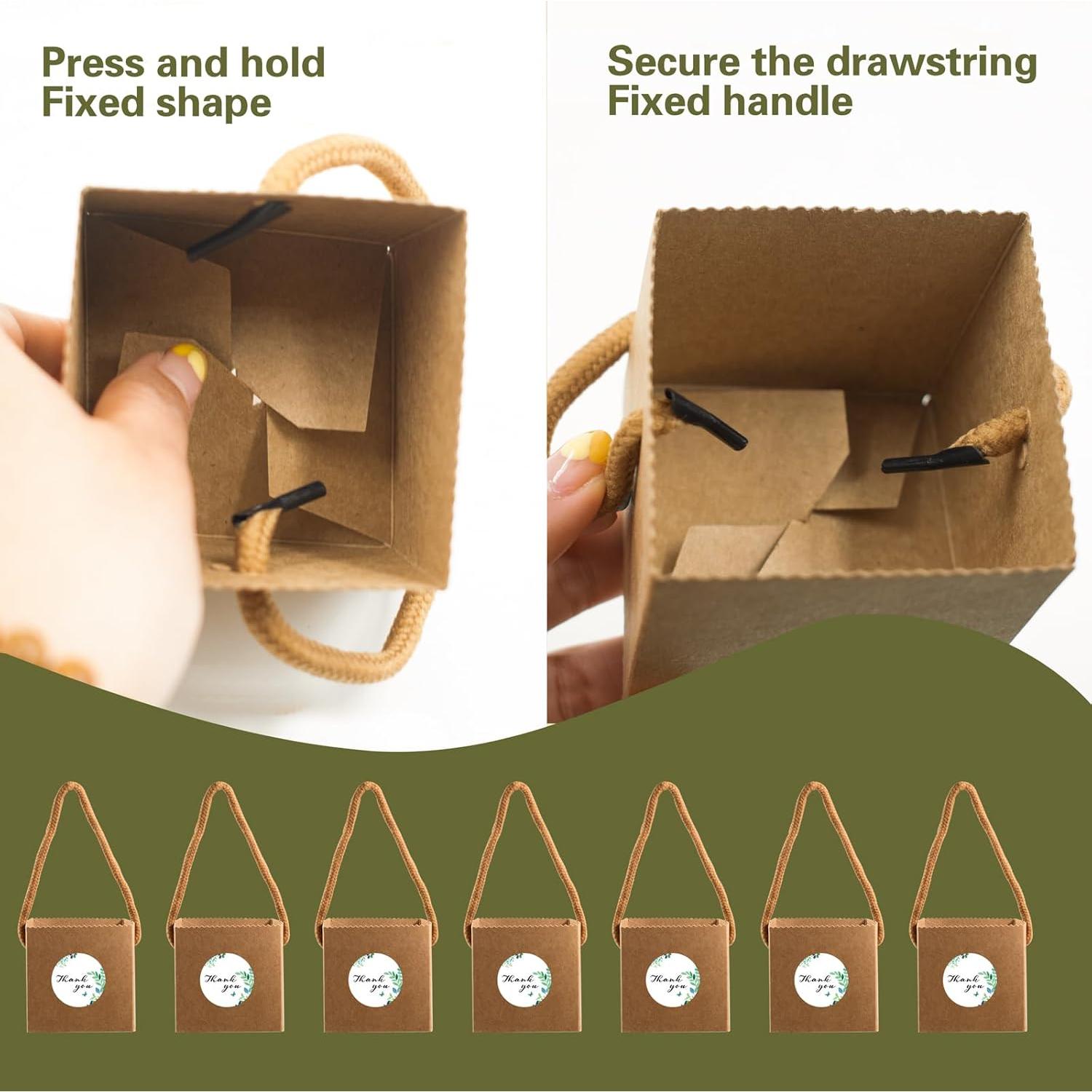 Set de 20 Macetas Mini Suculentas SnowTing con Bolsas Kraft