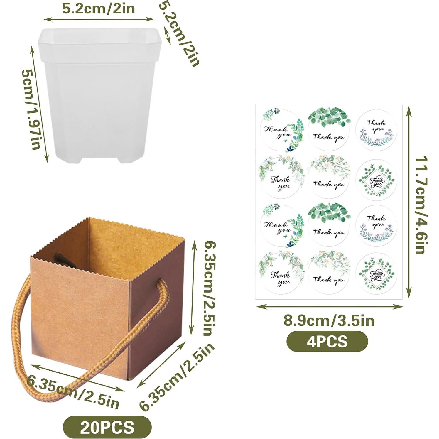 Set de 20 Macetas Mini Suculentas SnowTing con Bolsas Kraft