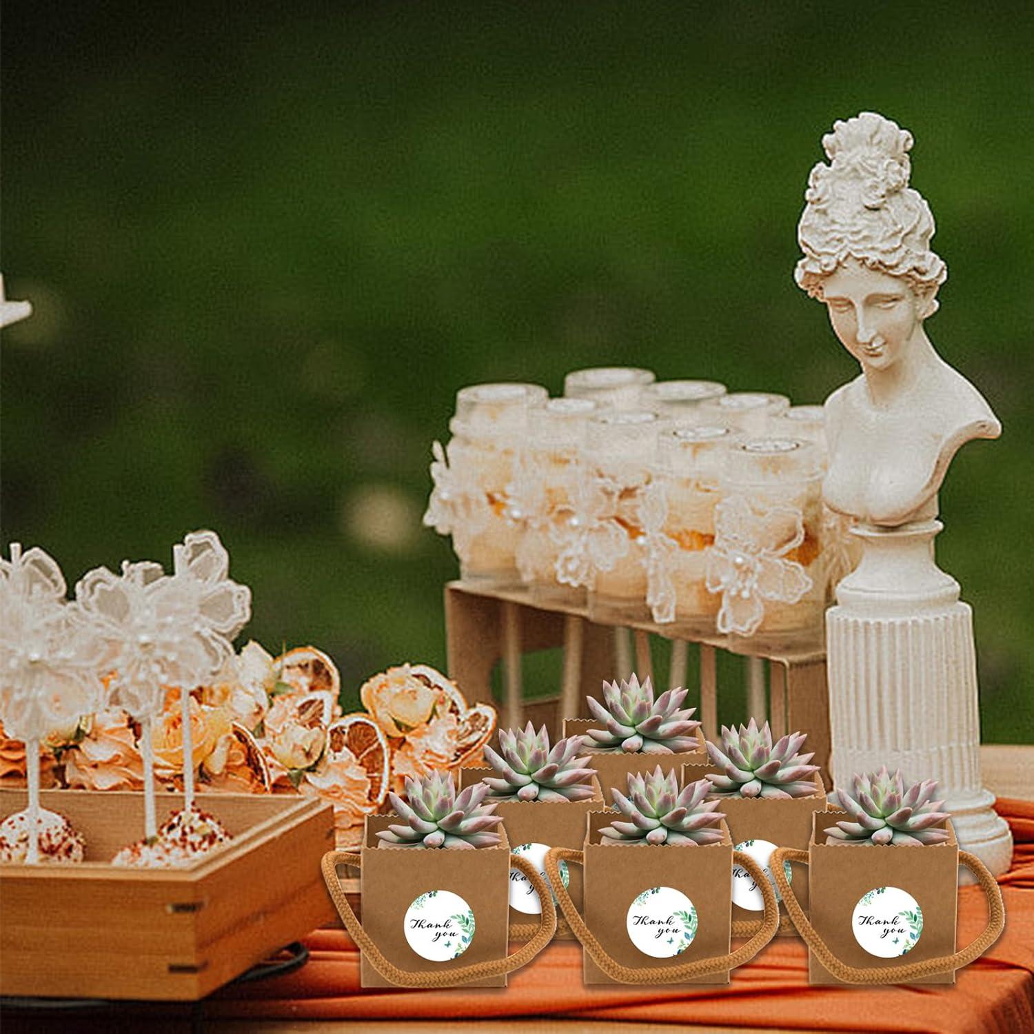 Set de 20 Macetas Mini Suculentas SnowTing con Bolsas Kraft