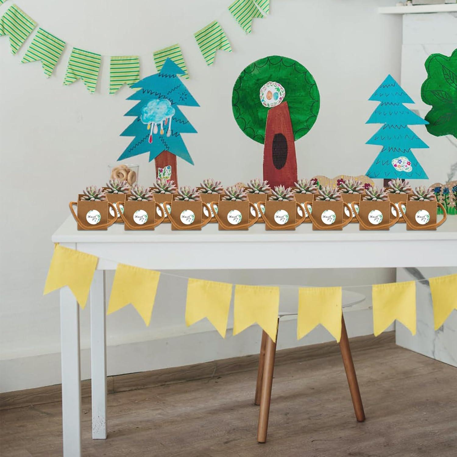 Set de 20 Macetas Mini Suculentas SnowTing con Bolsas Kraft