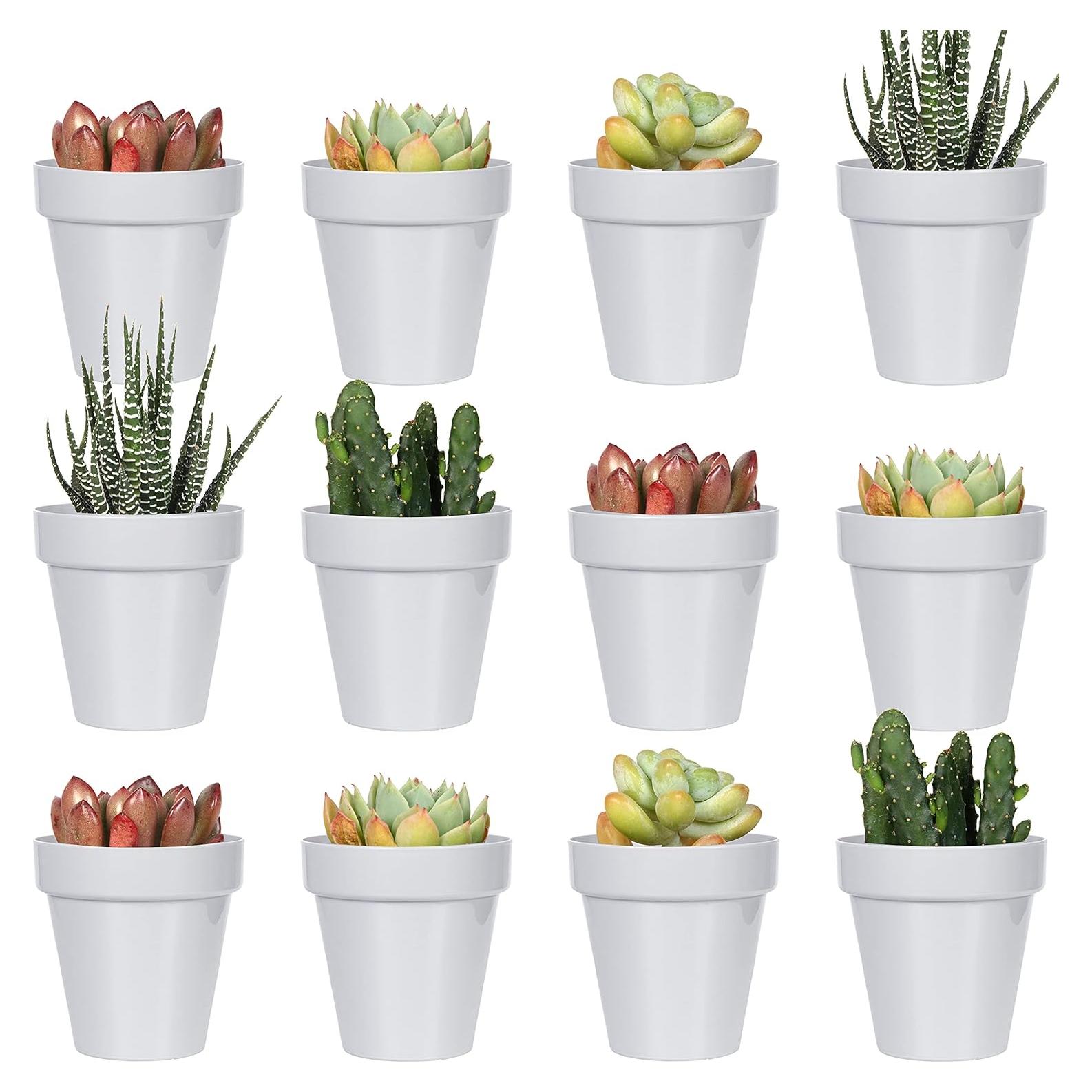 Juego de 24 Macetas de Plástico Youngever 5.08 cm con Drenaje