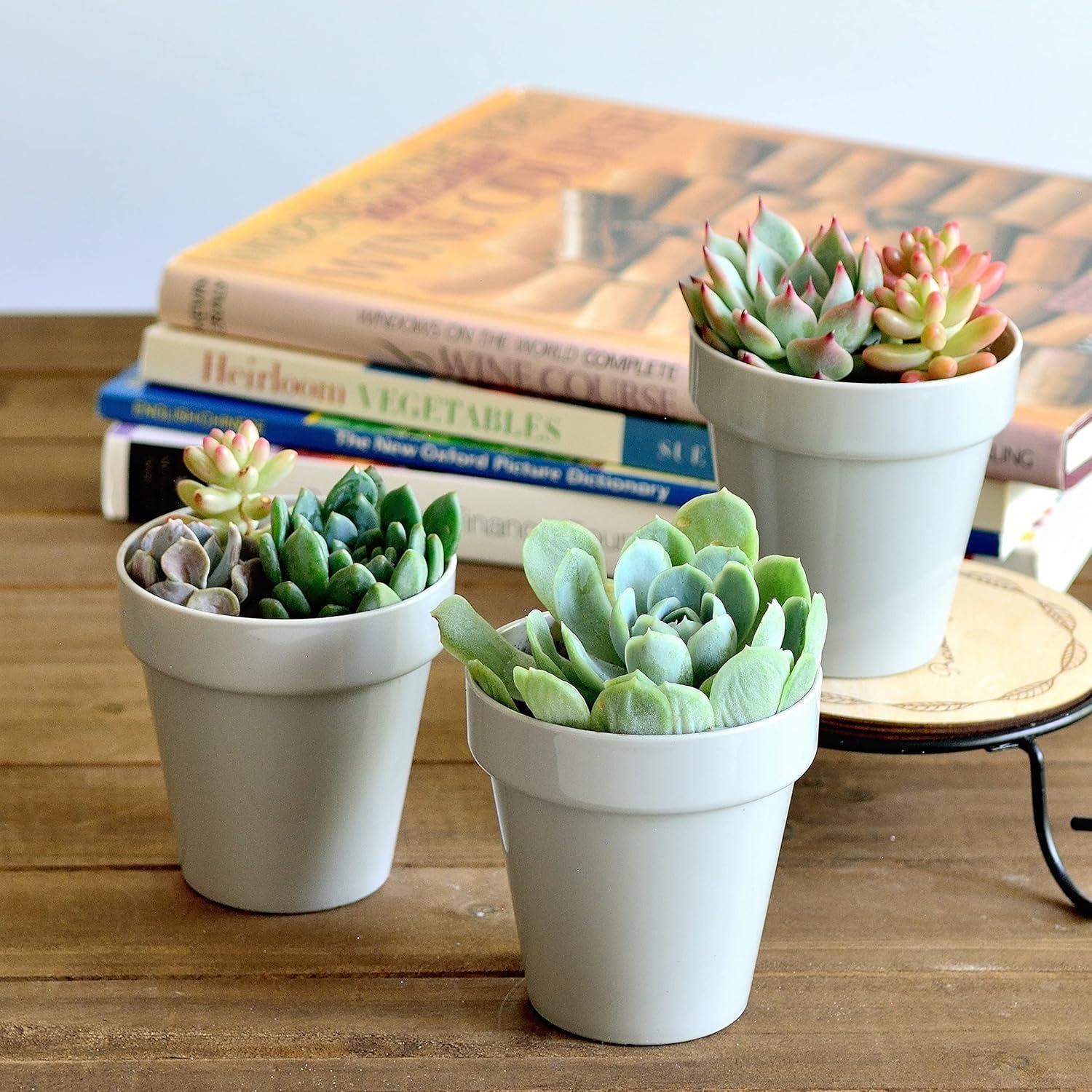 Juego de 24 Macetas de Plástico Youngever 5.08 cm con Drenaje