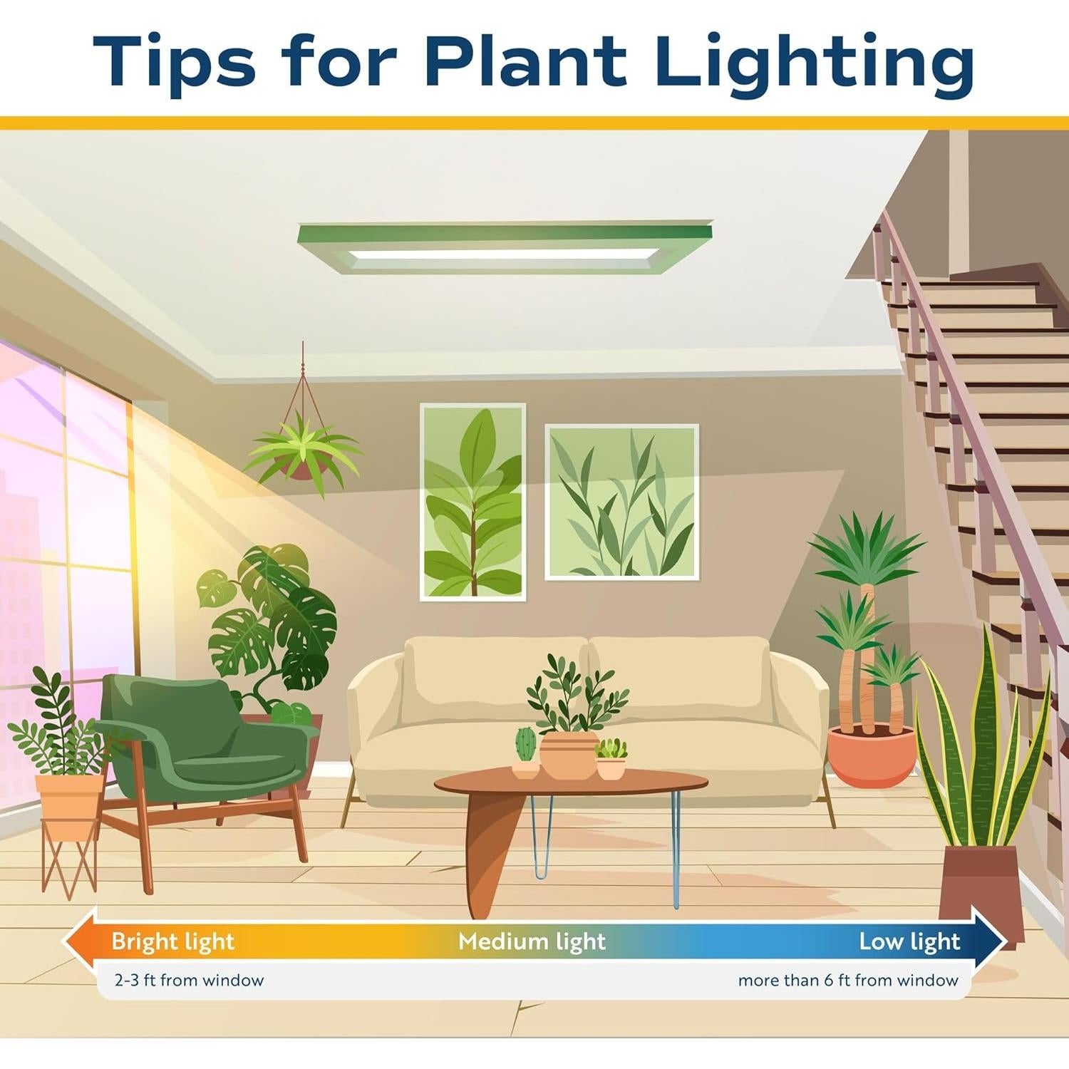 Plantas Suculentas Mini Costa Farms - Paquete de 6, 5 cm