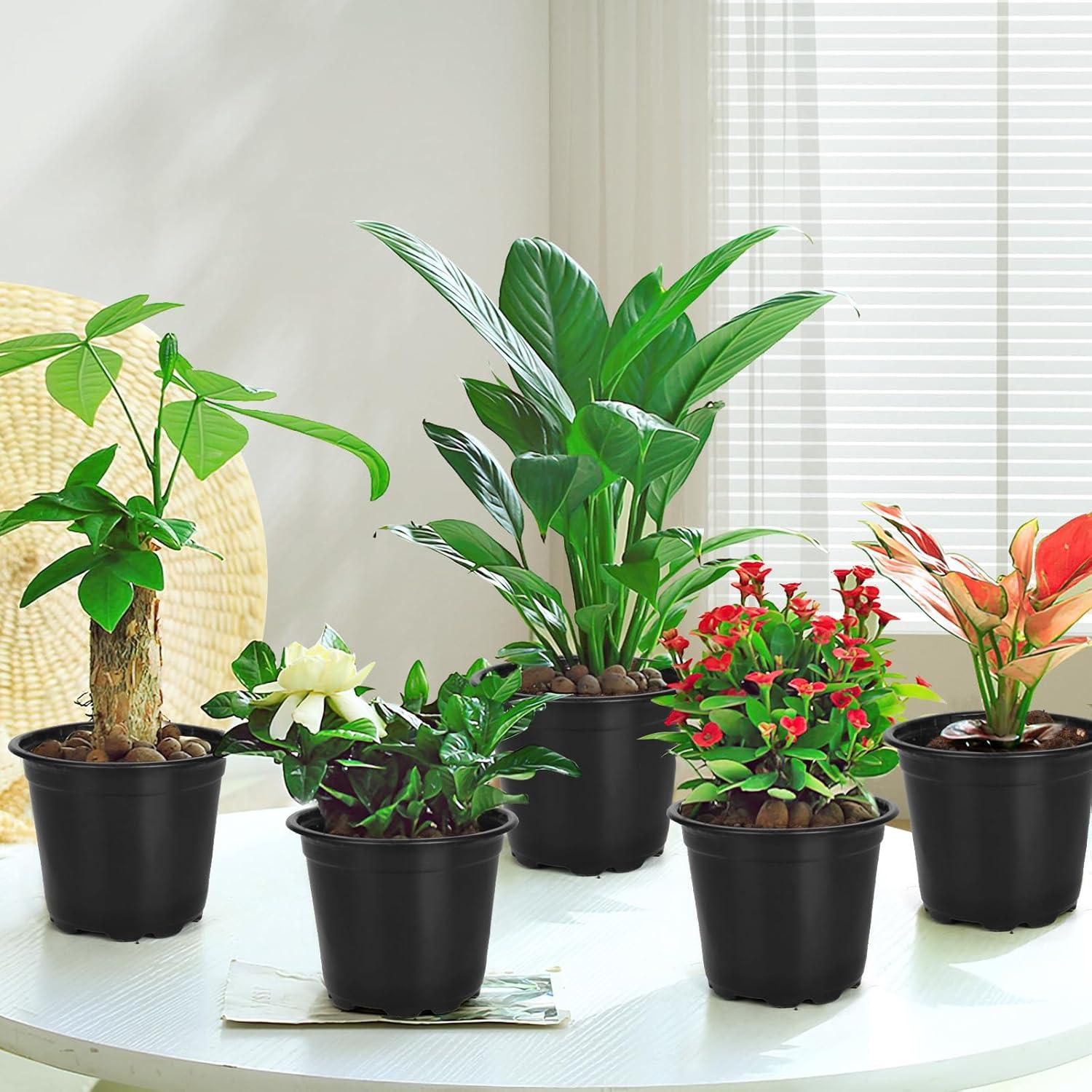 120 Macetas de Vivero DUNPUTE 10.16 cm con Drenaje