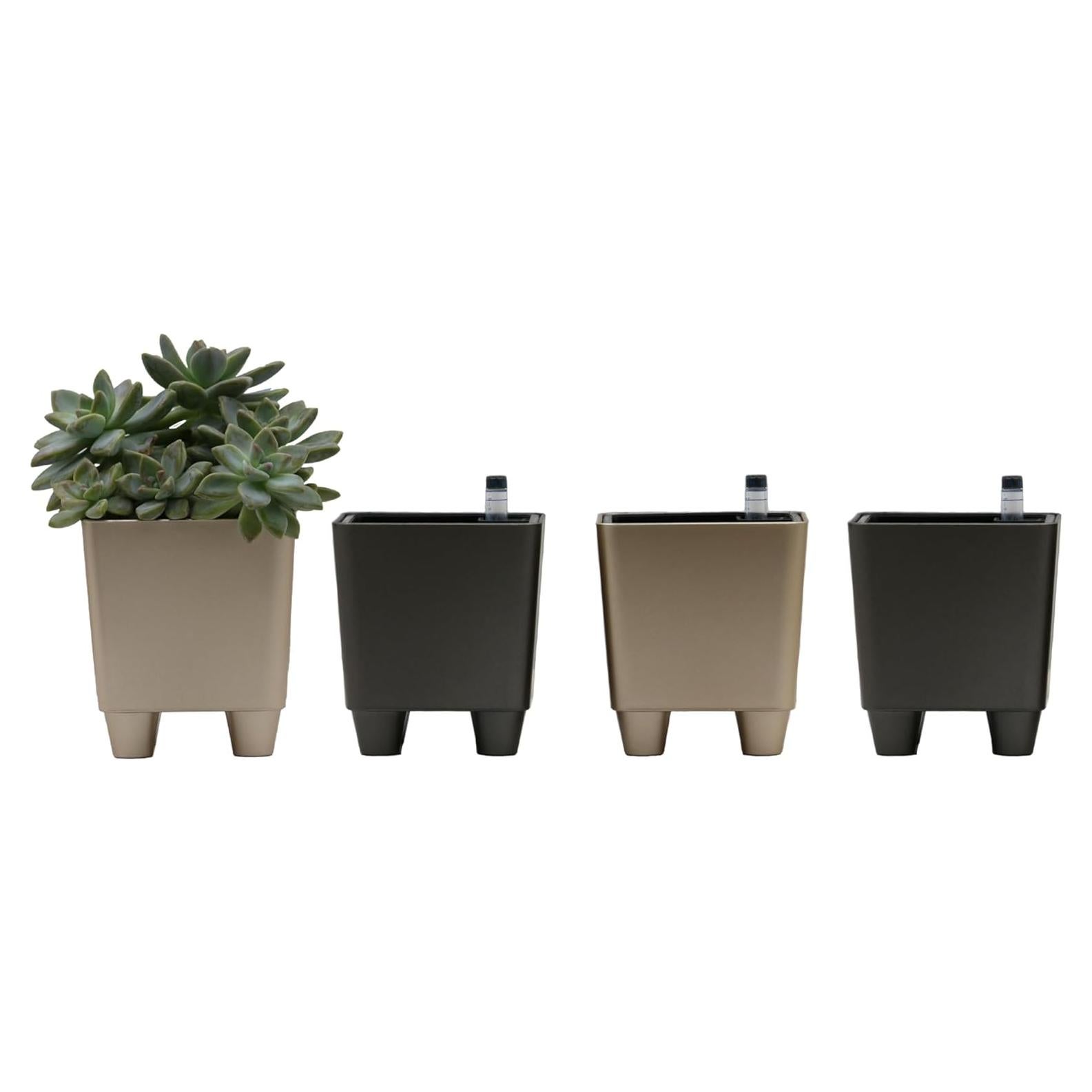 Macetas Cuadradas Mini Autorriego Cotta 4-Pack con Indicador