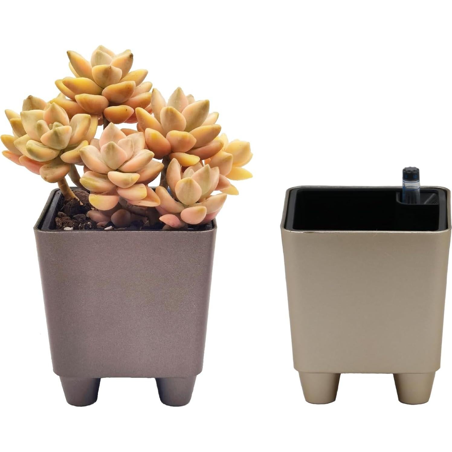 Macetas Cuadradas Mini Autorriego Cotta 4-Pack con Indicador