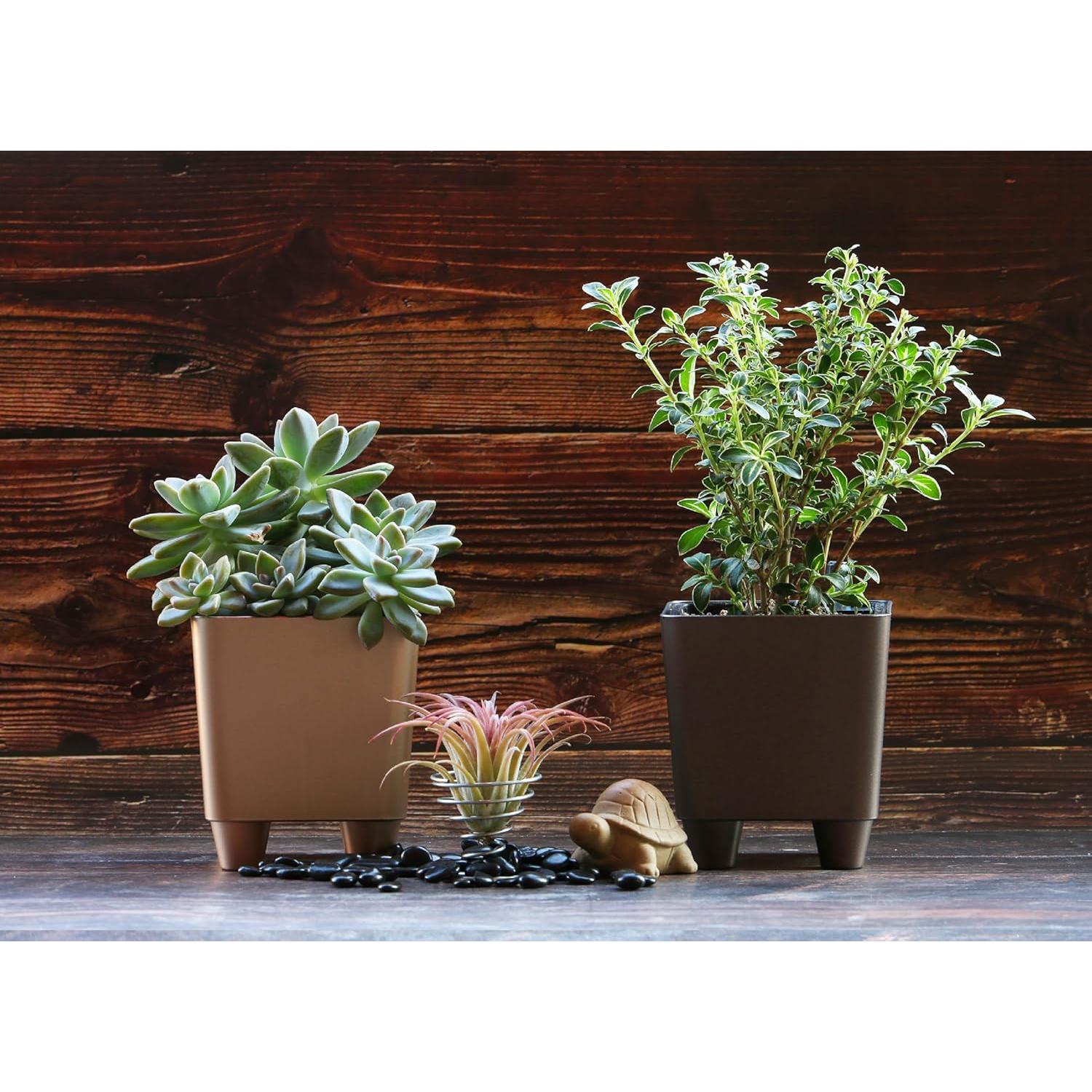 Macetas Cuadradas Mini Autorriego Cotta 4-Pack con Indicador