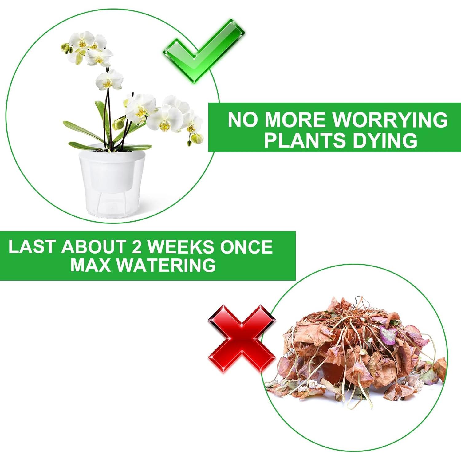 Paquete de 12 Macetas Autorriego MNKNENG 10.9 cm Transparentes