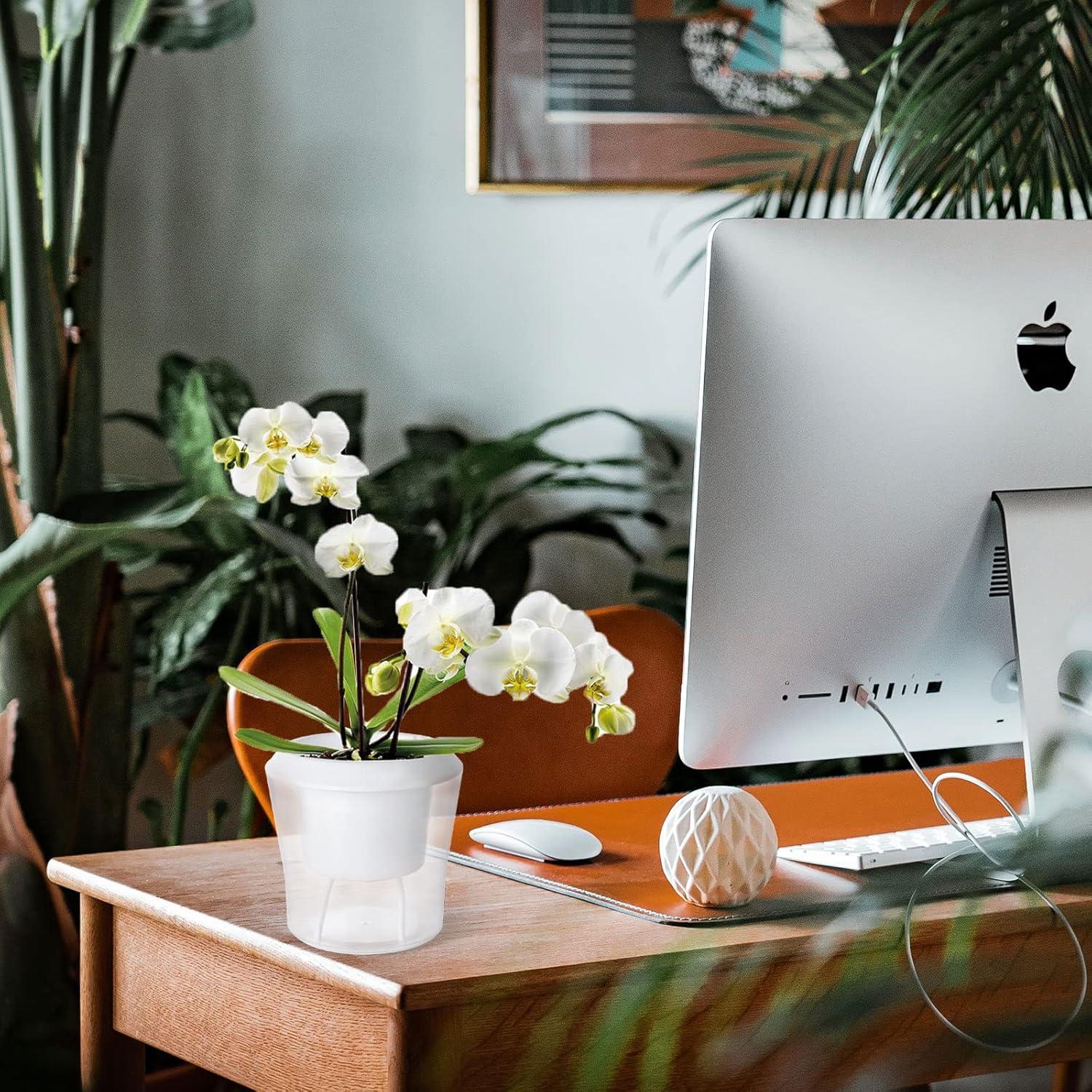 Paquete de 12 Macetas Autorriego MNKNENG 10.9 cm Transparentes