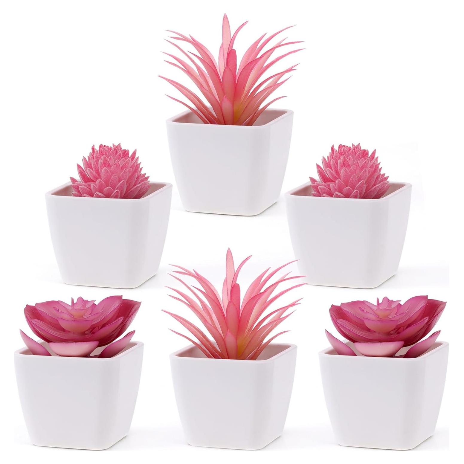 Juego de 6 Suculentas Artificiales Woration en Macetas Blancas