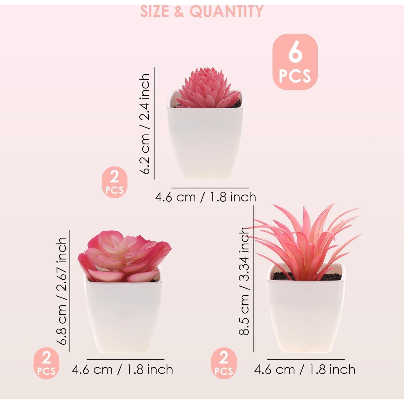 Juego de 6 Suculentas Artificiales Woration en Macetas Blancas