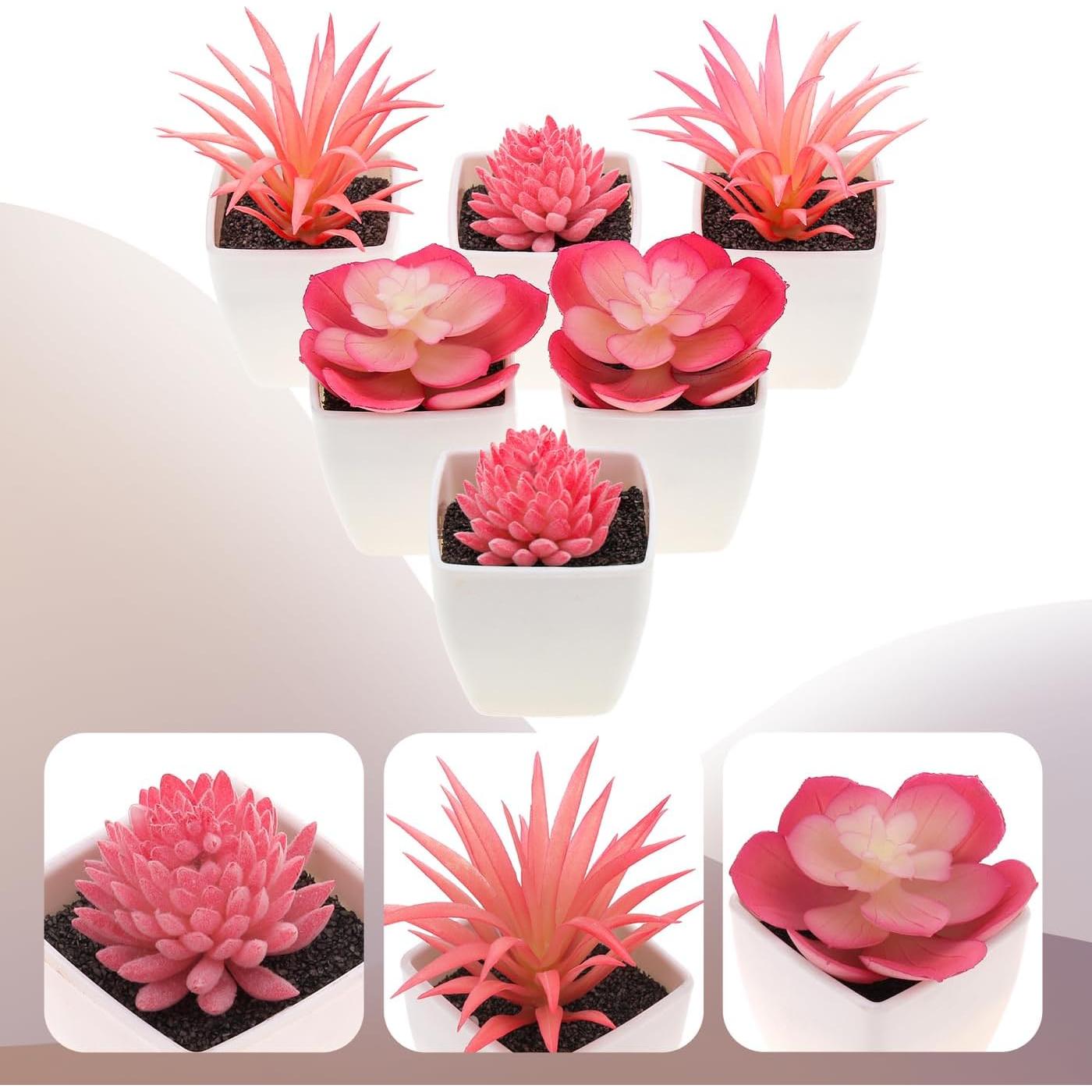 Juego de 6 Suculentas Artificiales Woration en Macetas Blancas
