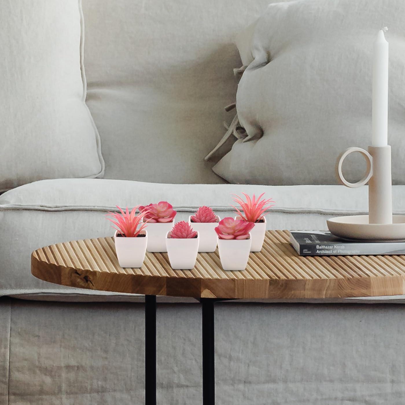 Juego de 6 Suculentas Artificiales Woration en Macetas Blancas