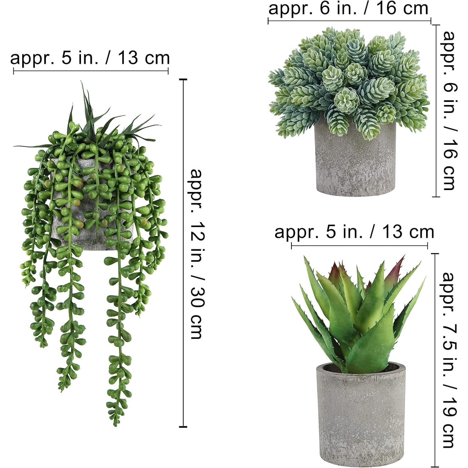Conjunto de 3 Suculentas Artificiales Winlyn en Macetas