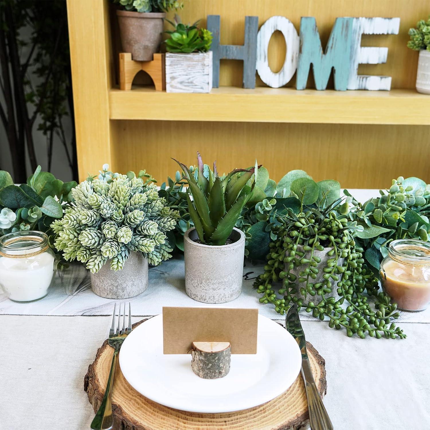 Conjunto de 3 Suculentas Artificiales Winlyn en Macetas