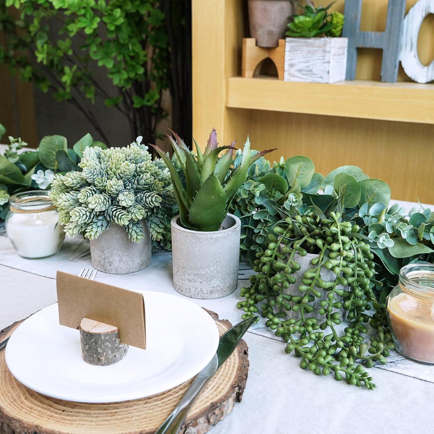 Conjunto de 3 Suculentas Artificiales Winlyn en Macetas