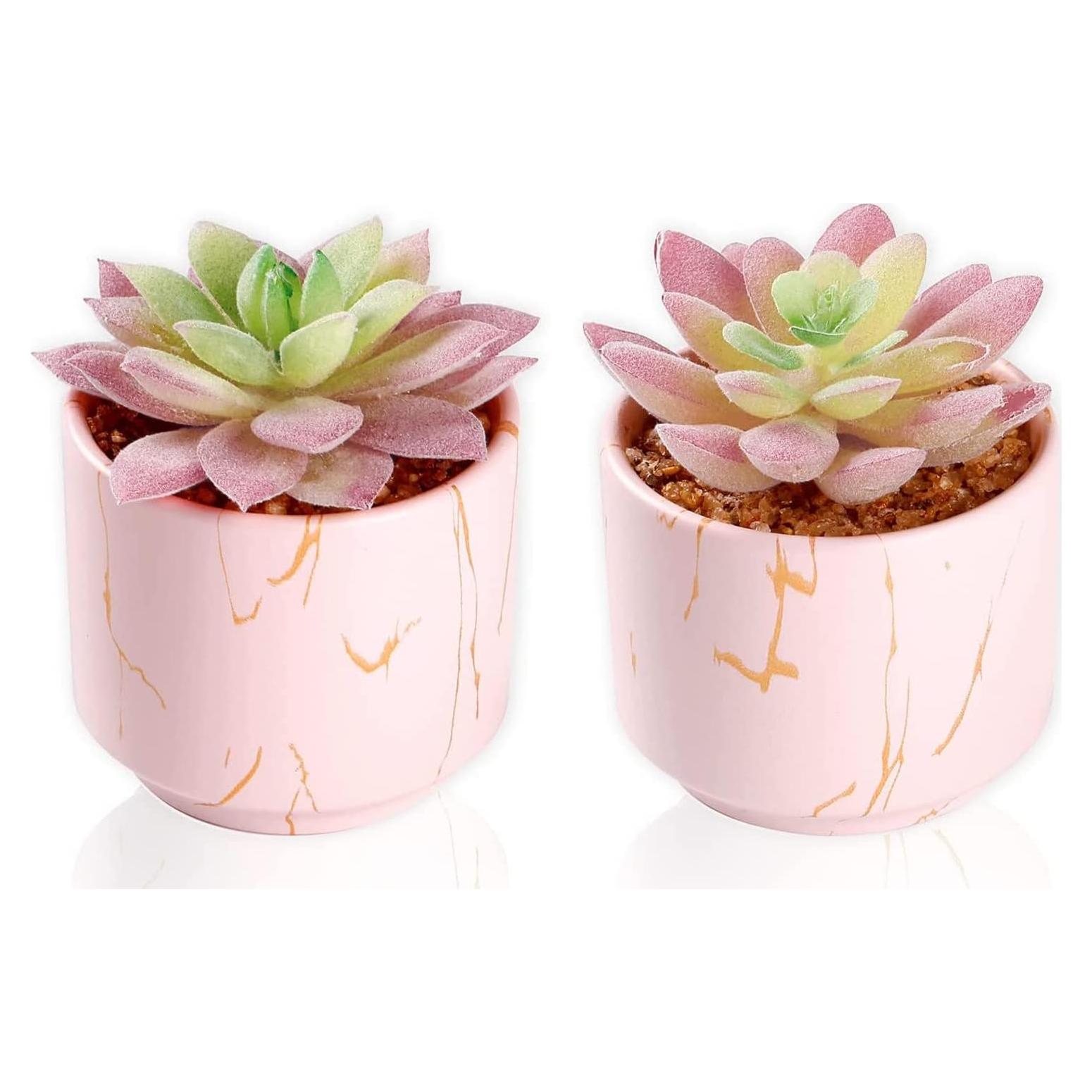 Juego de 2 Suculentas Artificiales zenmag en Macetas Rosa