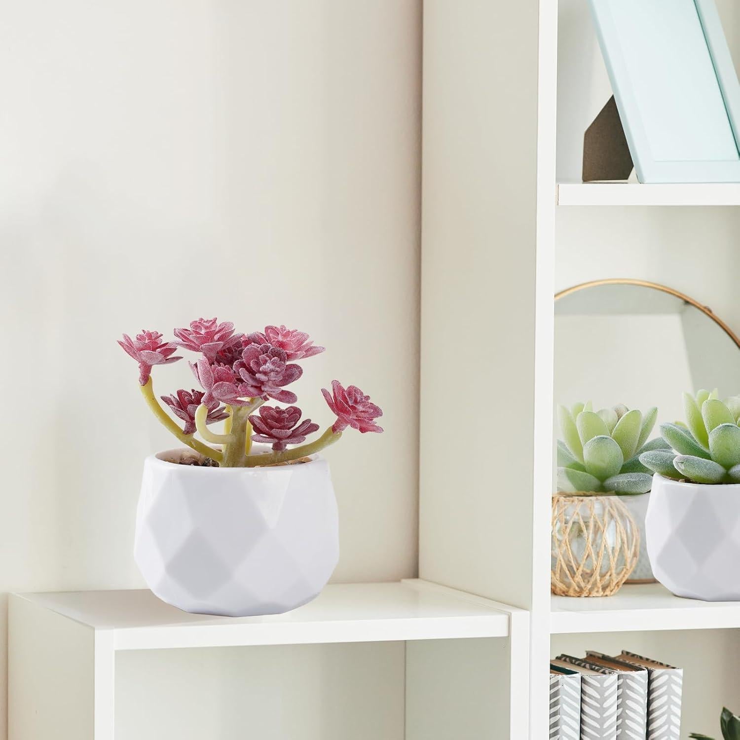 Juego de 4 Suculentas Artificiales YRYUNRUI en Macetas Blancas