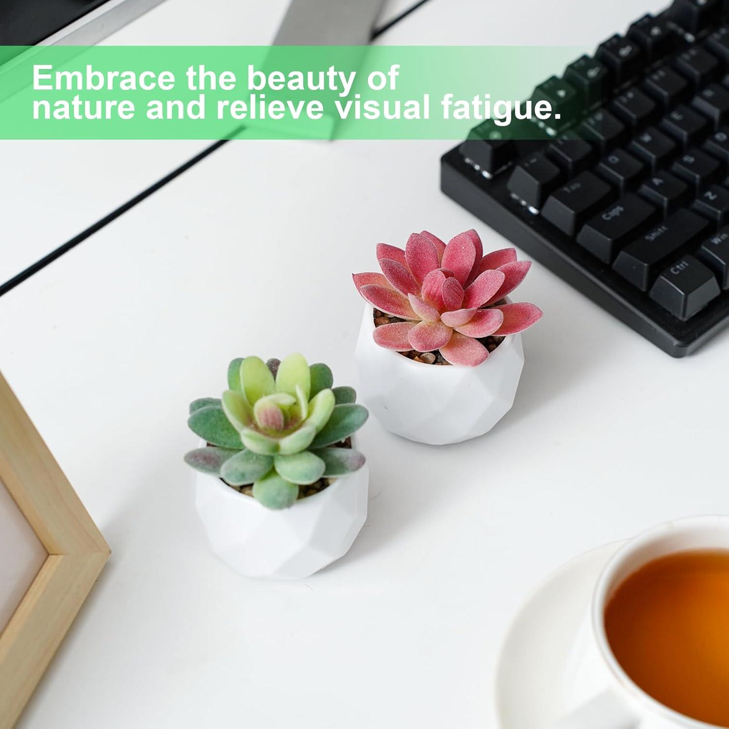 Juego de 4 Suculentas Artificiales YRYUNRUI en Macetas Blancas