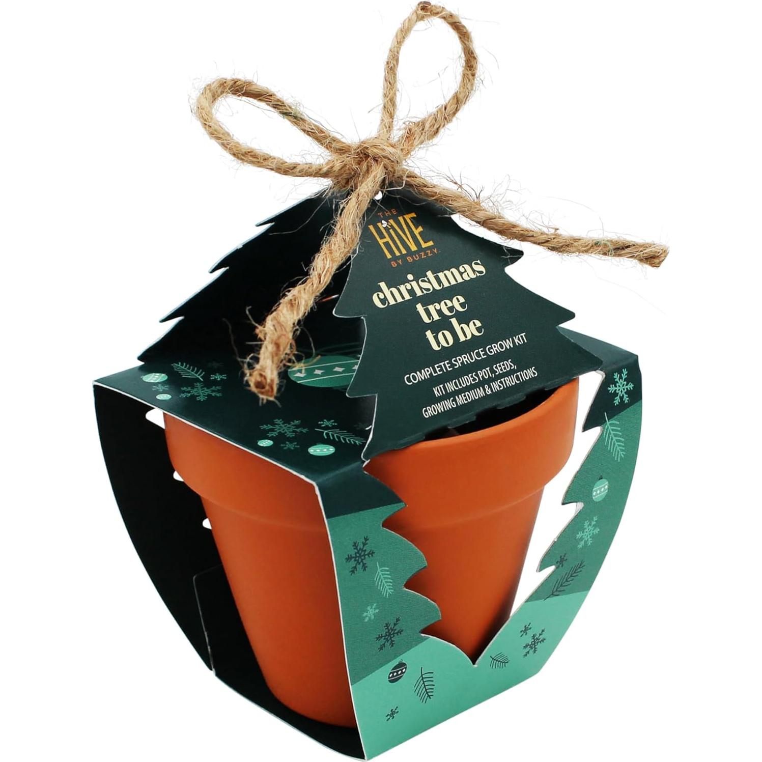 Kit de Crecimiento de Abeto Buzzy Seeds 4 Macetas Terracota