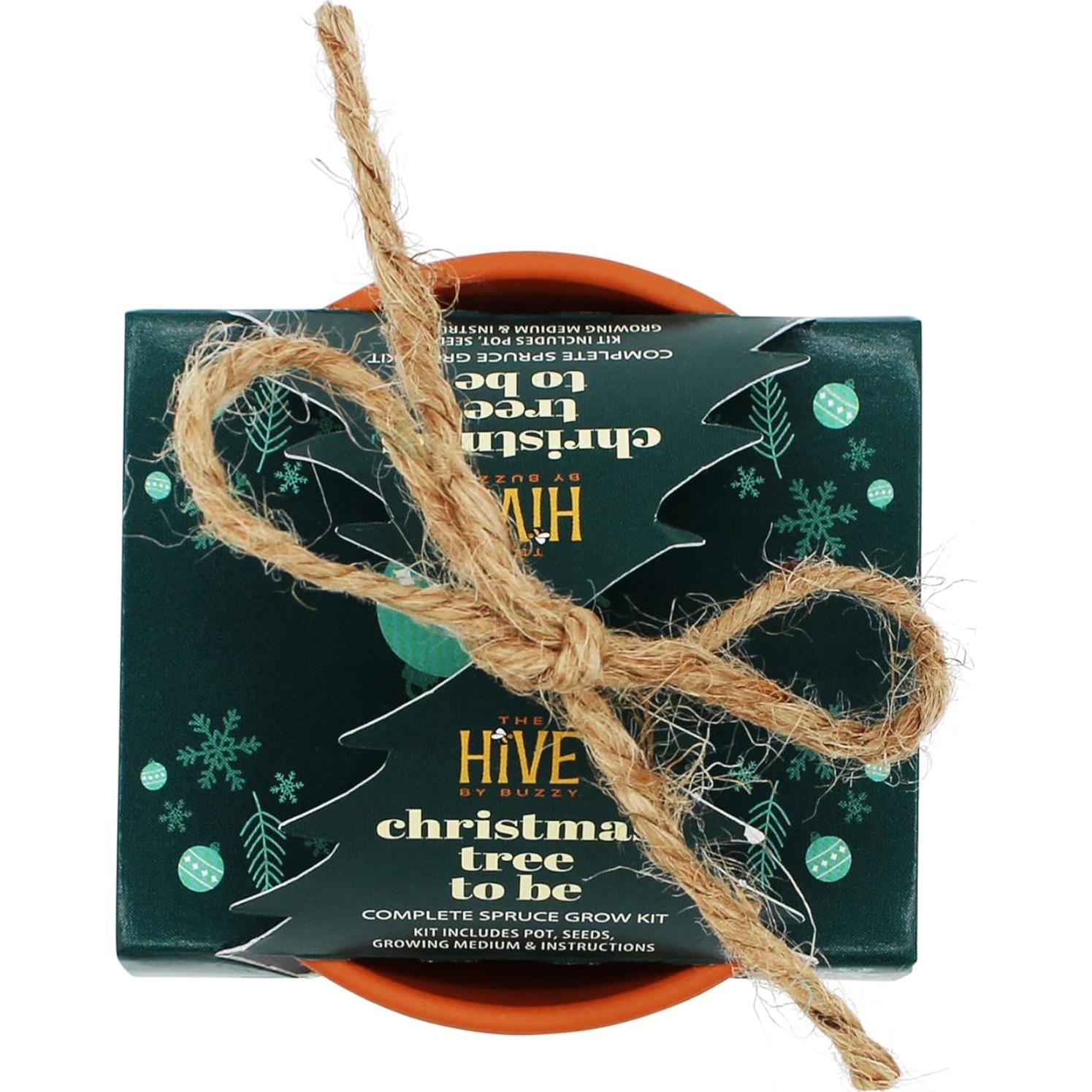 Kit de Crecimiento de Abeto Buzzy Seeds 4 Macetas Terracota