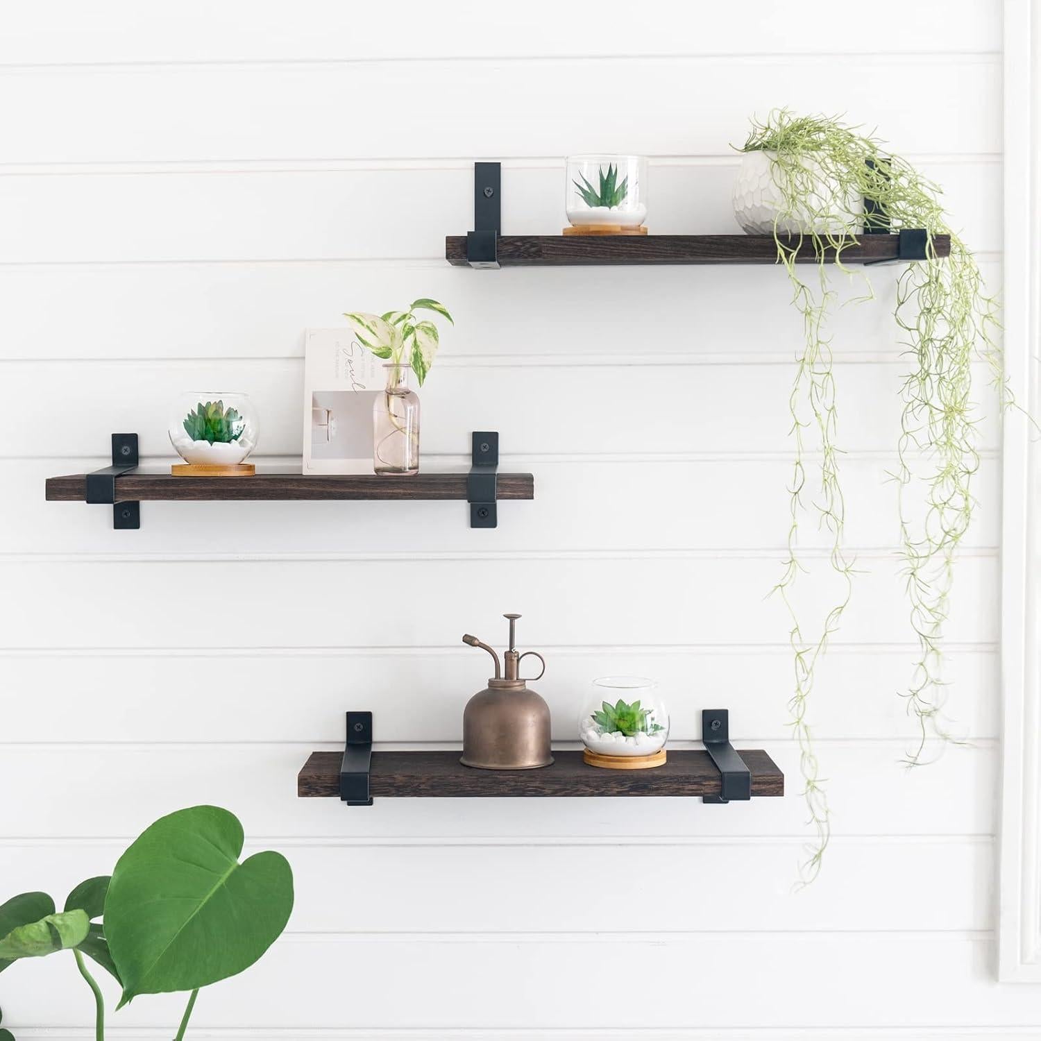 Plantas Suculentas Artificiales Mkono en Maceta de Vidrio - 3 Piezas