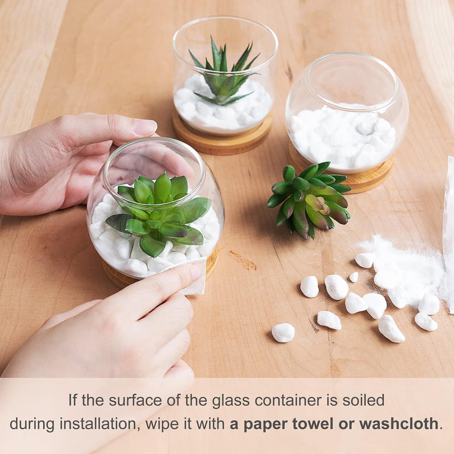 Plantas Suculentas Artificiales Mkono en Maceta de Vidrio - 3 Piezas