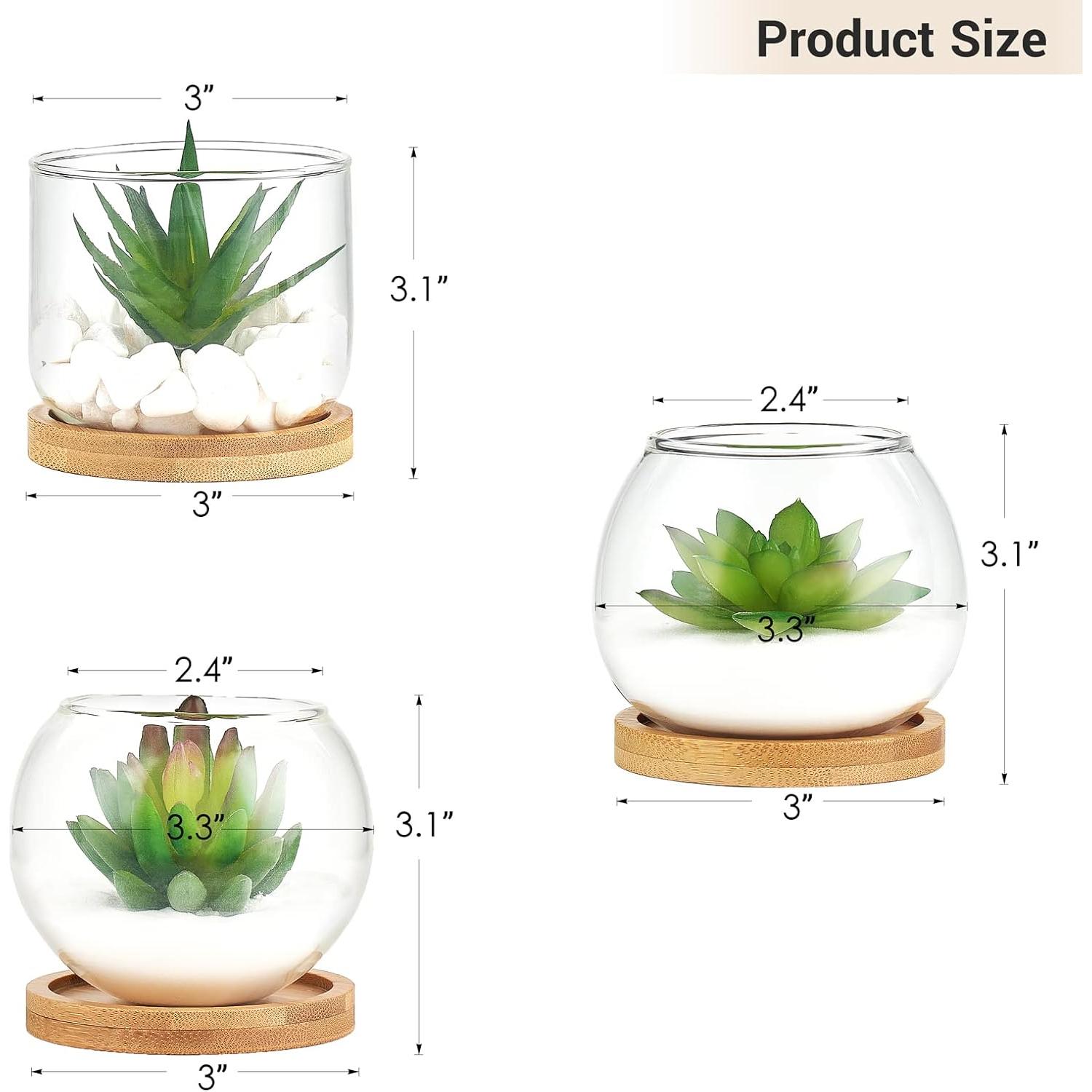 Plantas Suculentas Artificiales Mkono en Maceta de Vidrio - 3 Piezas