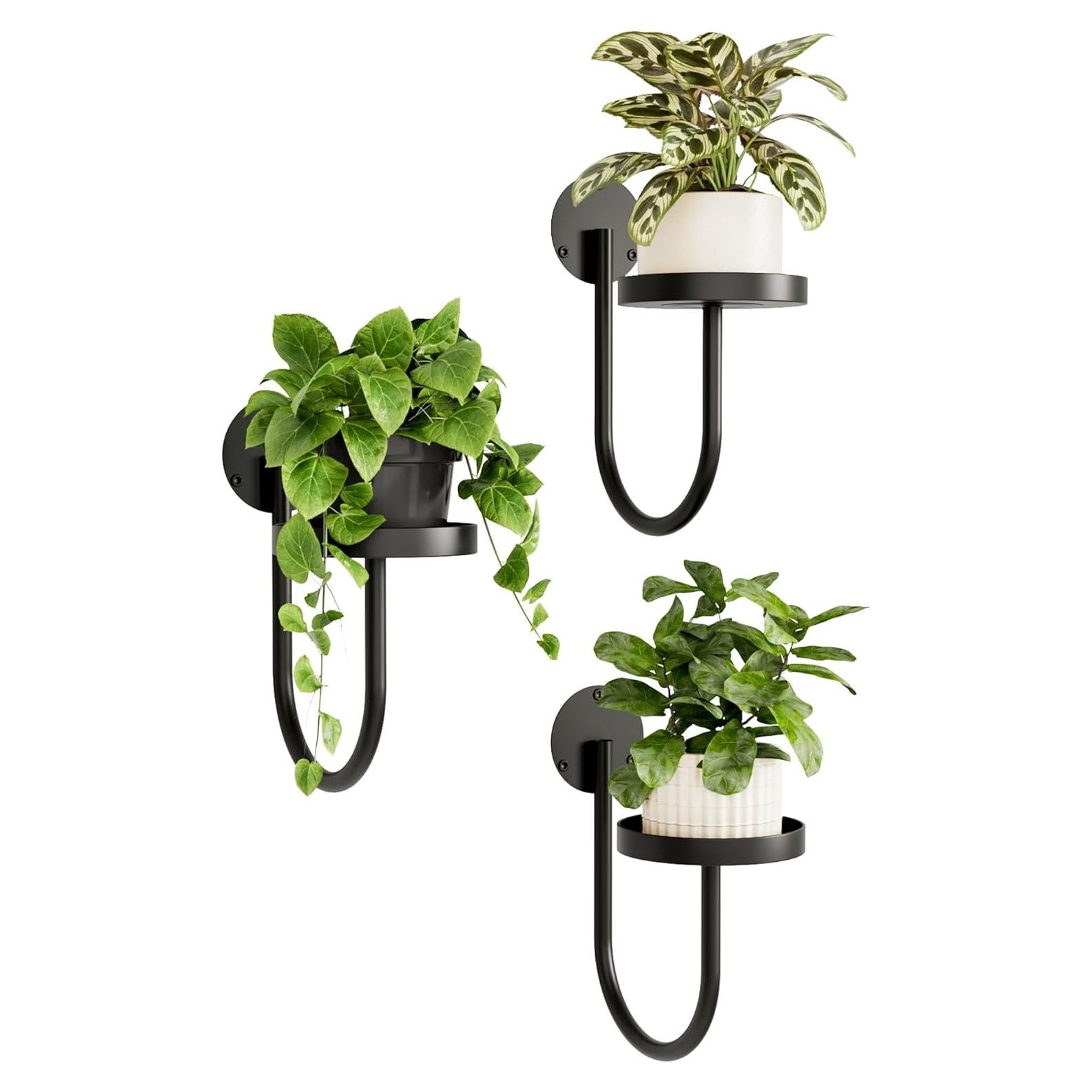 Macetas Colgantes Bamworld Negras para Plantas de Interior 3pcs