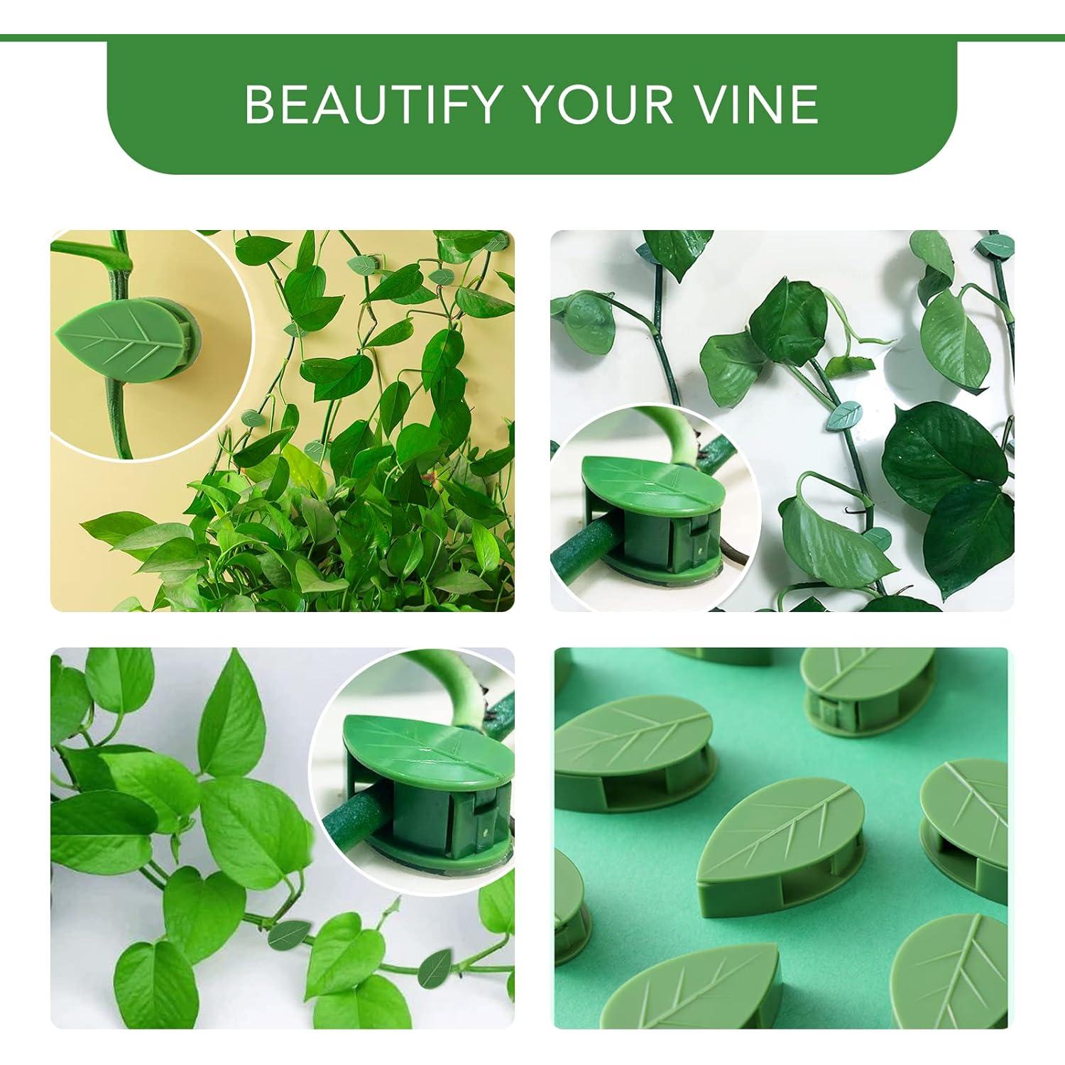 Clips de Fijación para Plantas Trepadoras Choclaif 40 Pcs