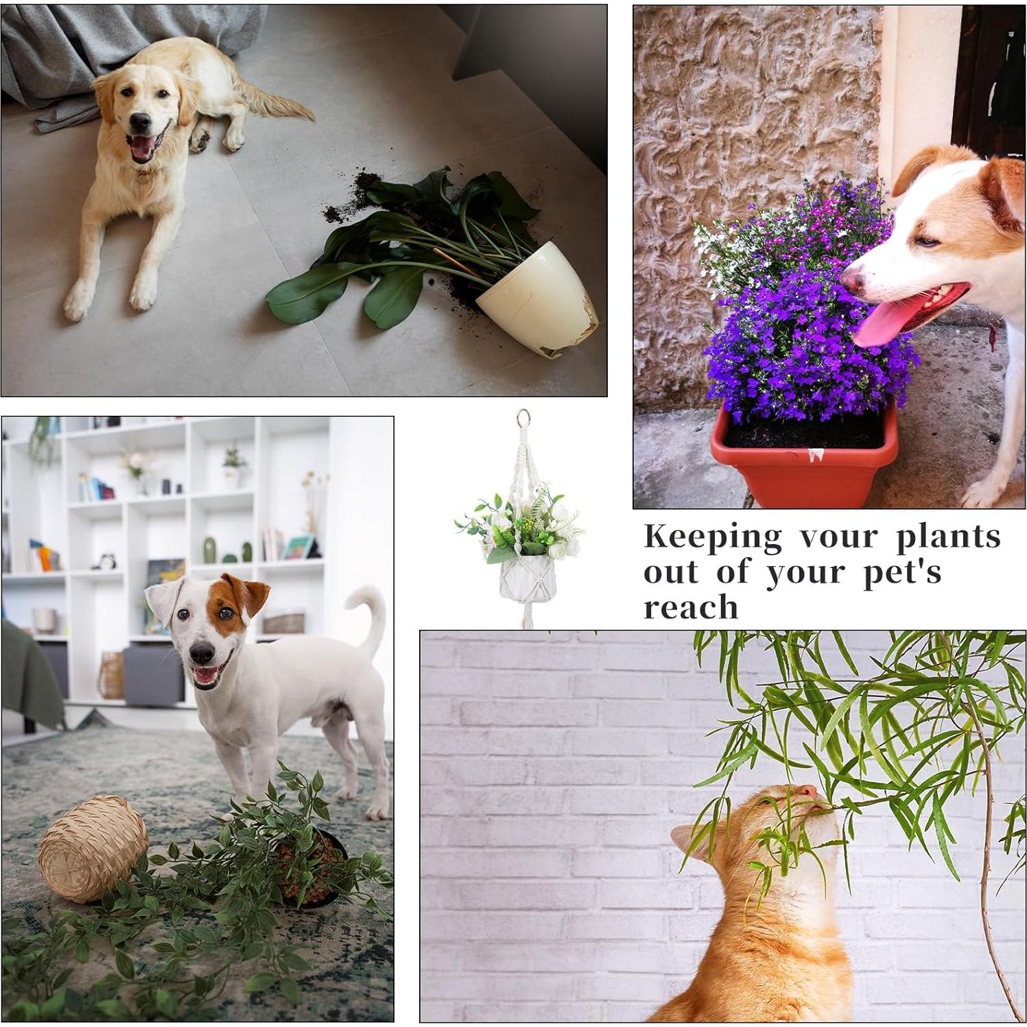 Colgador de Plantas de Macramé Sliverdew 50 cm 2 Piezas Boho