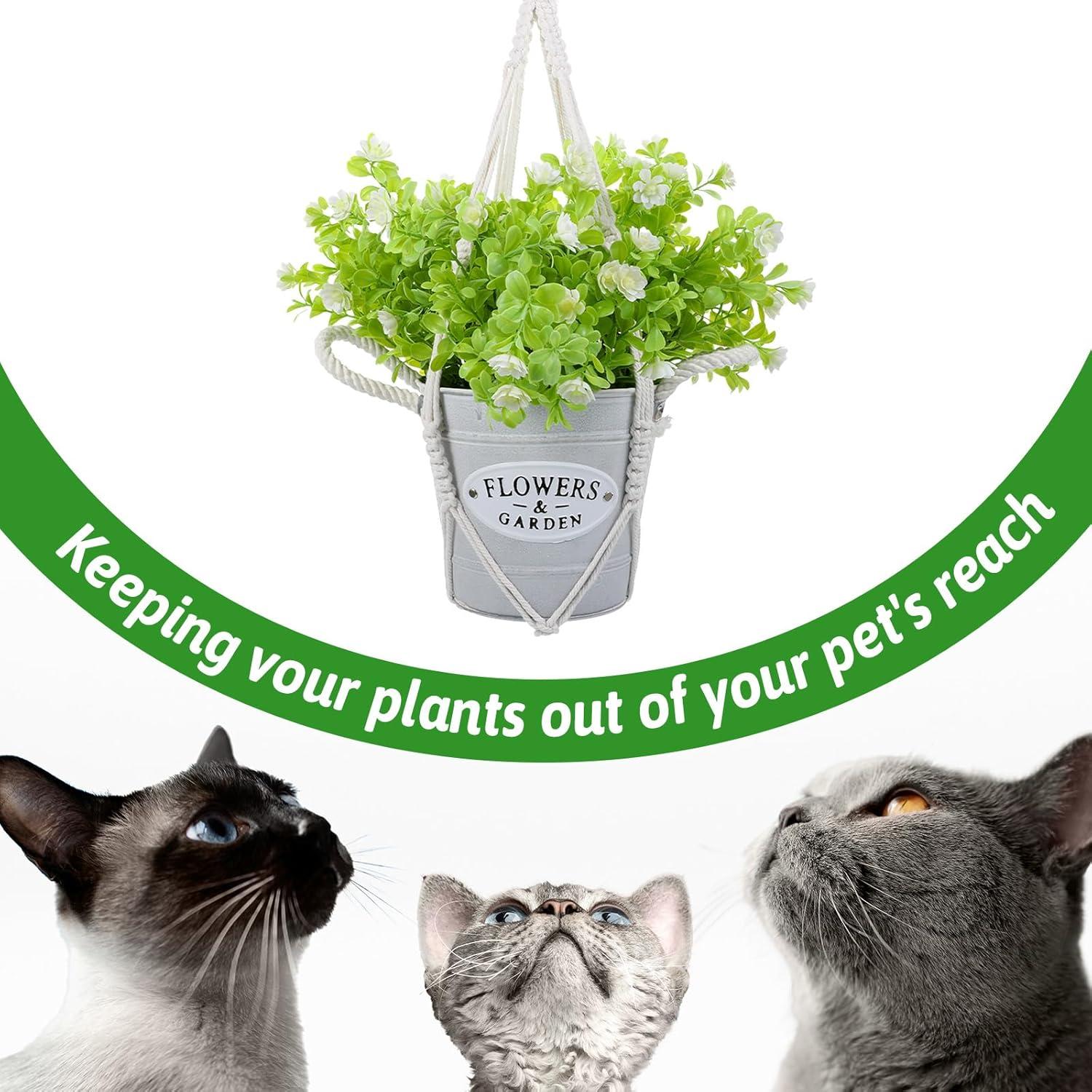 Colgador de Plantas de Macramé Hpmjz 2 Piezas 50 cm Blanco