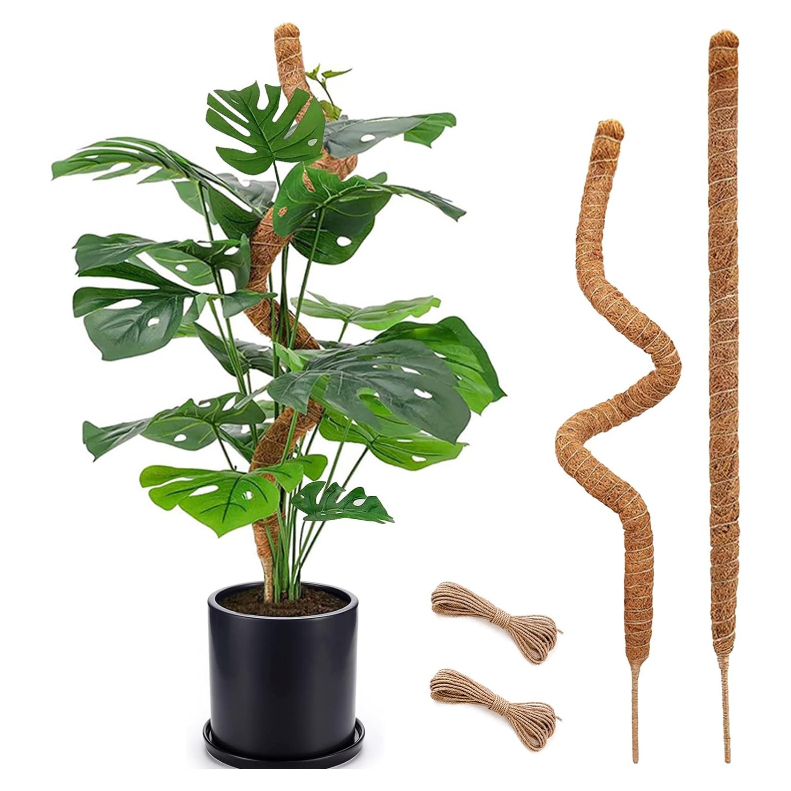 Postes de Musgo Flexibles Soupiar 2 Unidades 71 cm para Plantas
